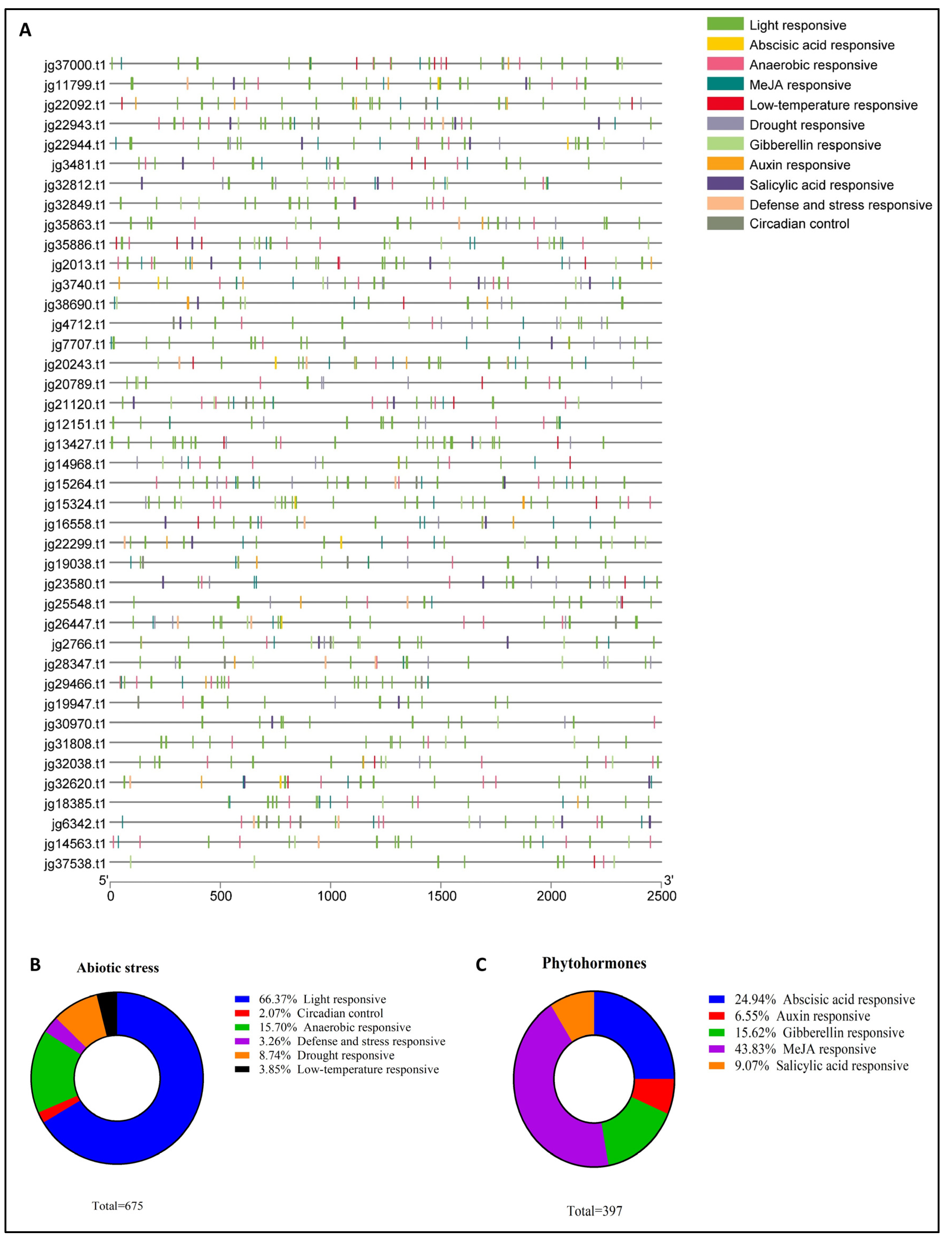 Biology 14 01774 g004 Biology 14 01774 g004