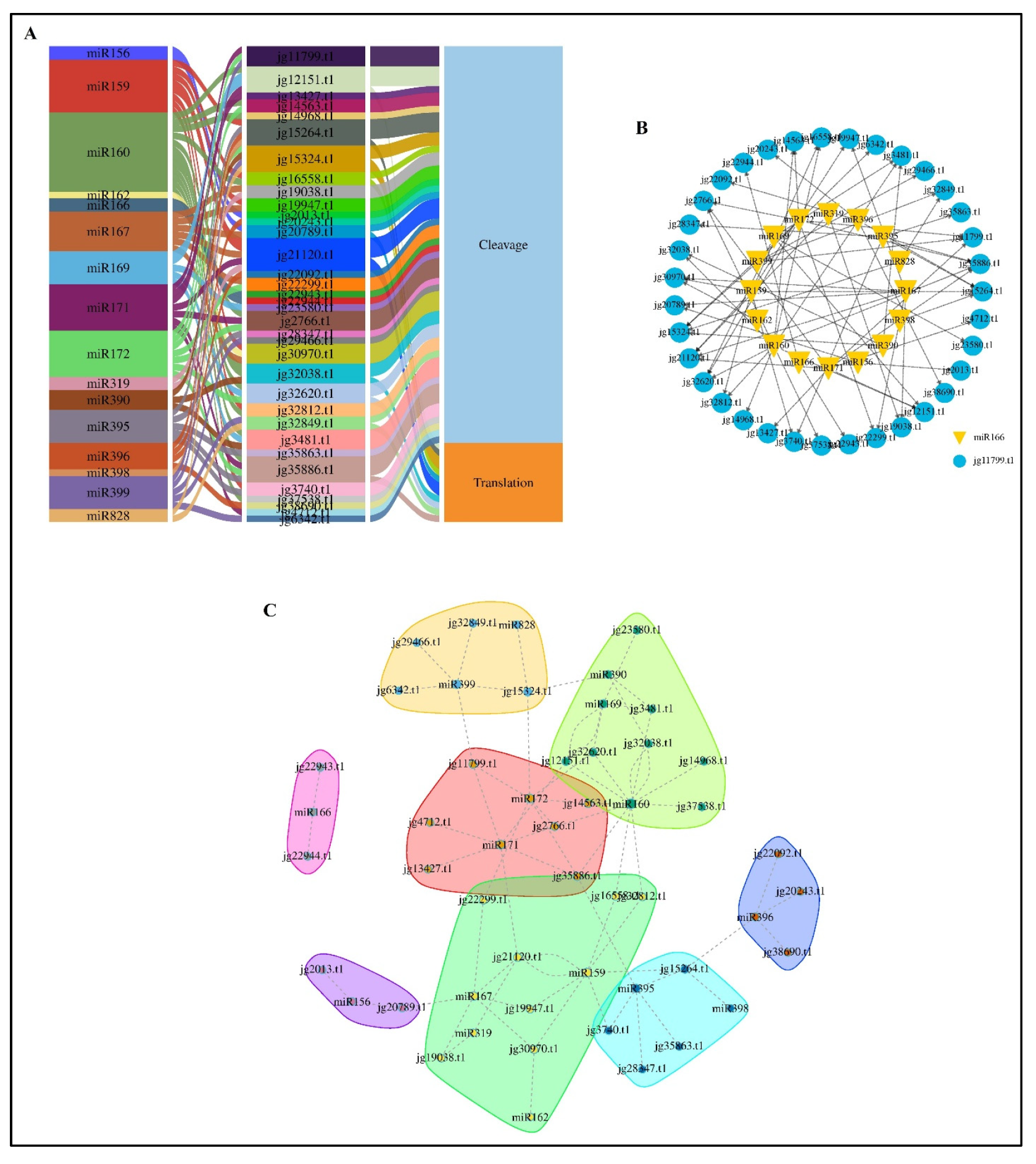 Biology 14 01774 g005 Biology 14 01774 g005