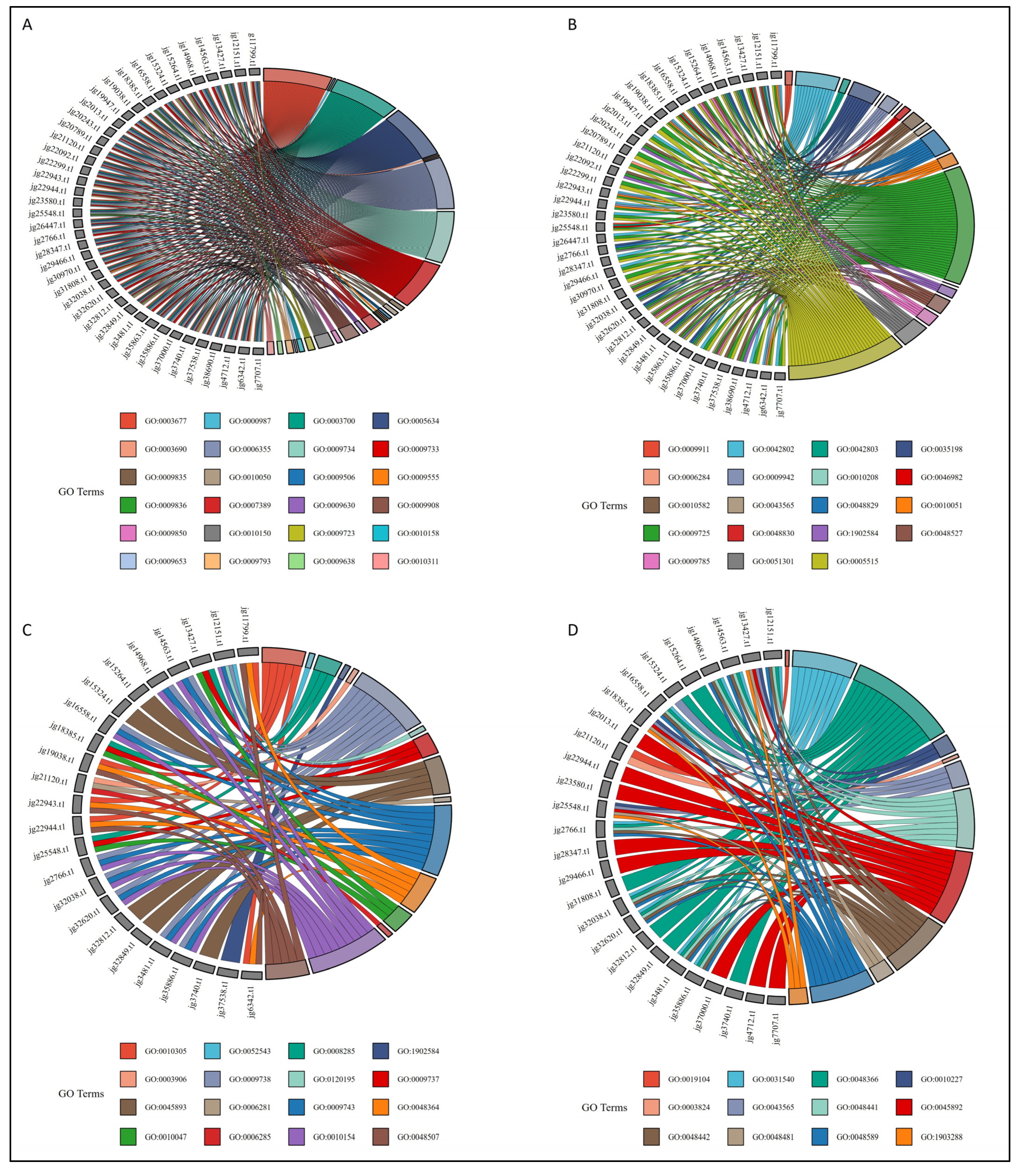 Biology 14 01774 g006 Biology 14 01774 g006