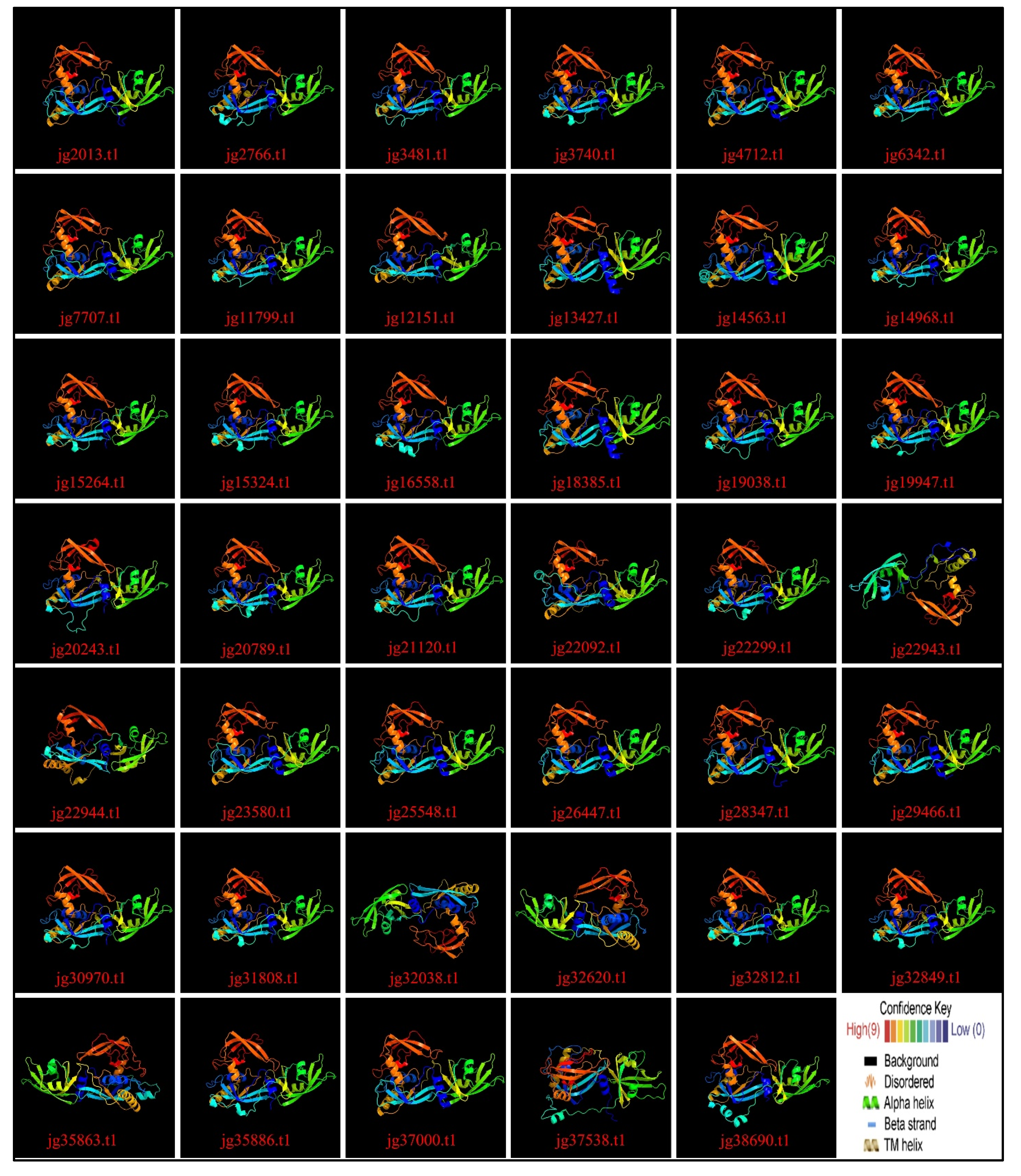 Biology 14 01774 g009 Biology 14 01774 g009