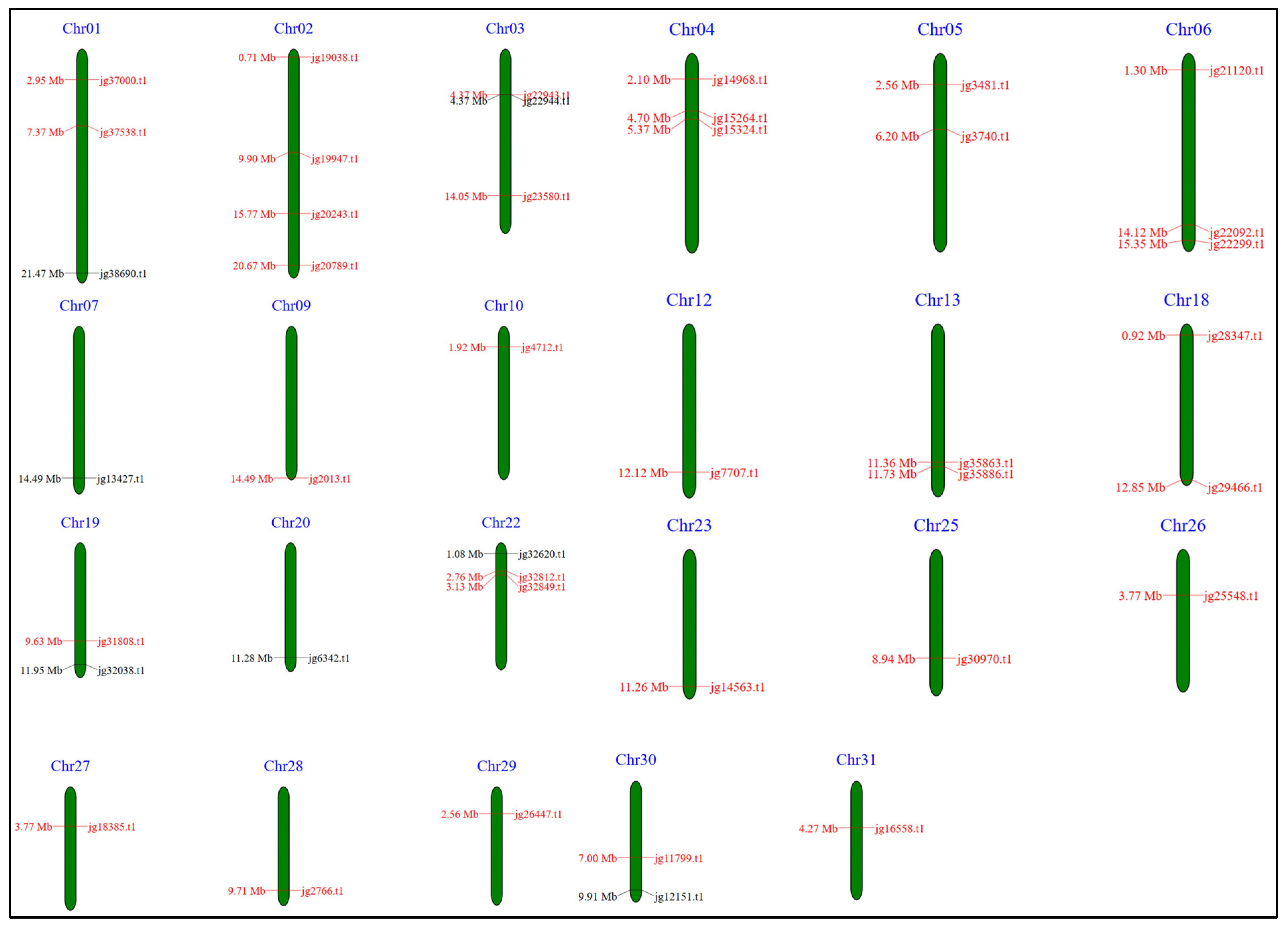Biology 14 01774 g010 Biology 14 01774 g010