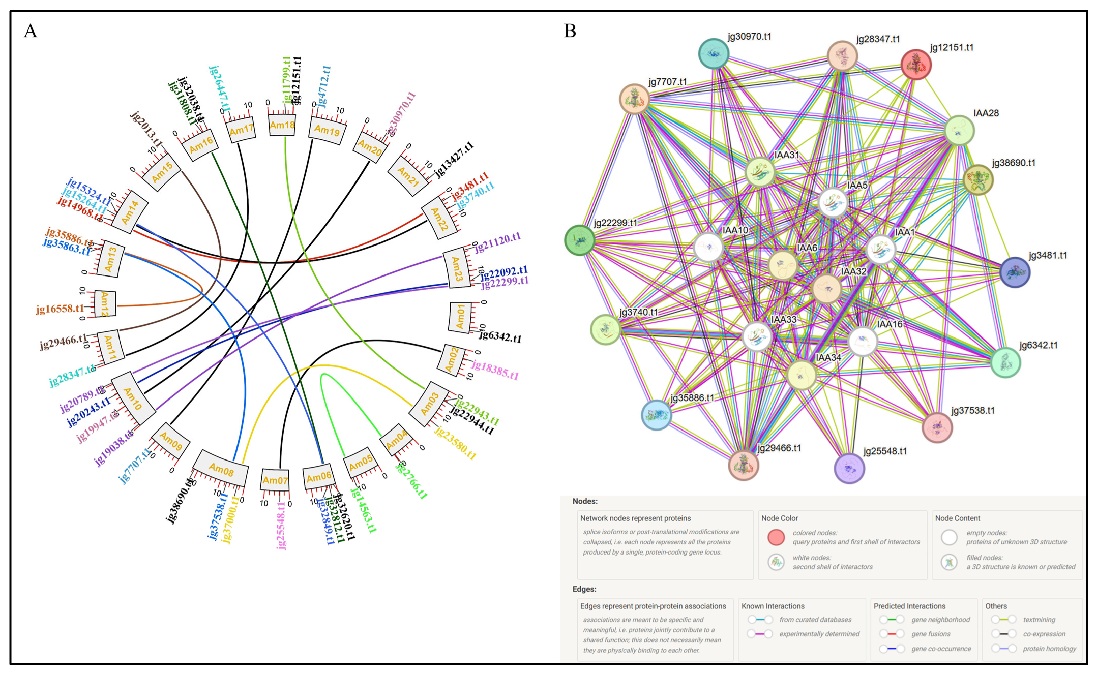 Biology 14 01774 g011 Biology 14 01774 g011