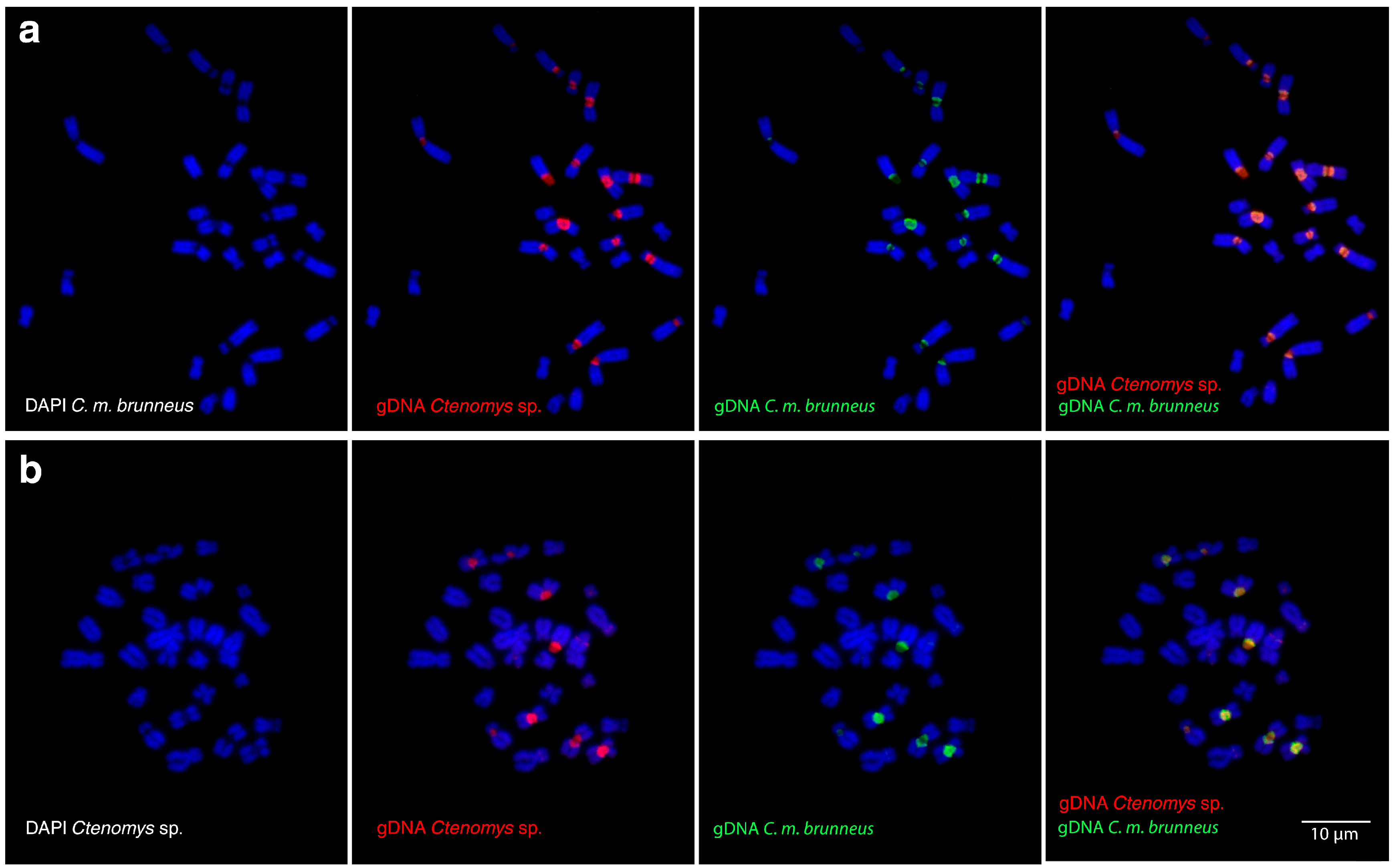 Biology 14 01776 g002
