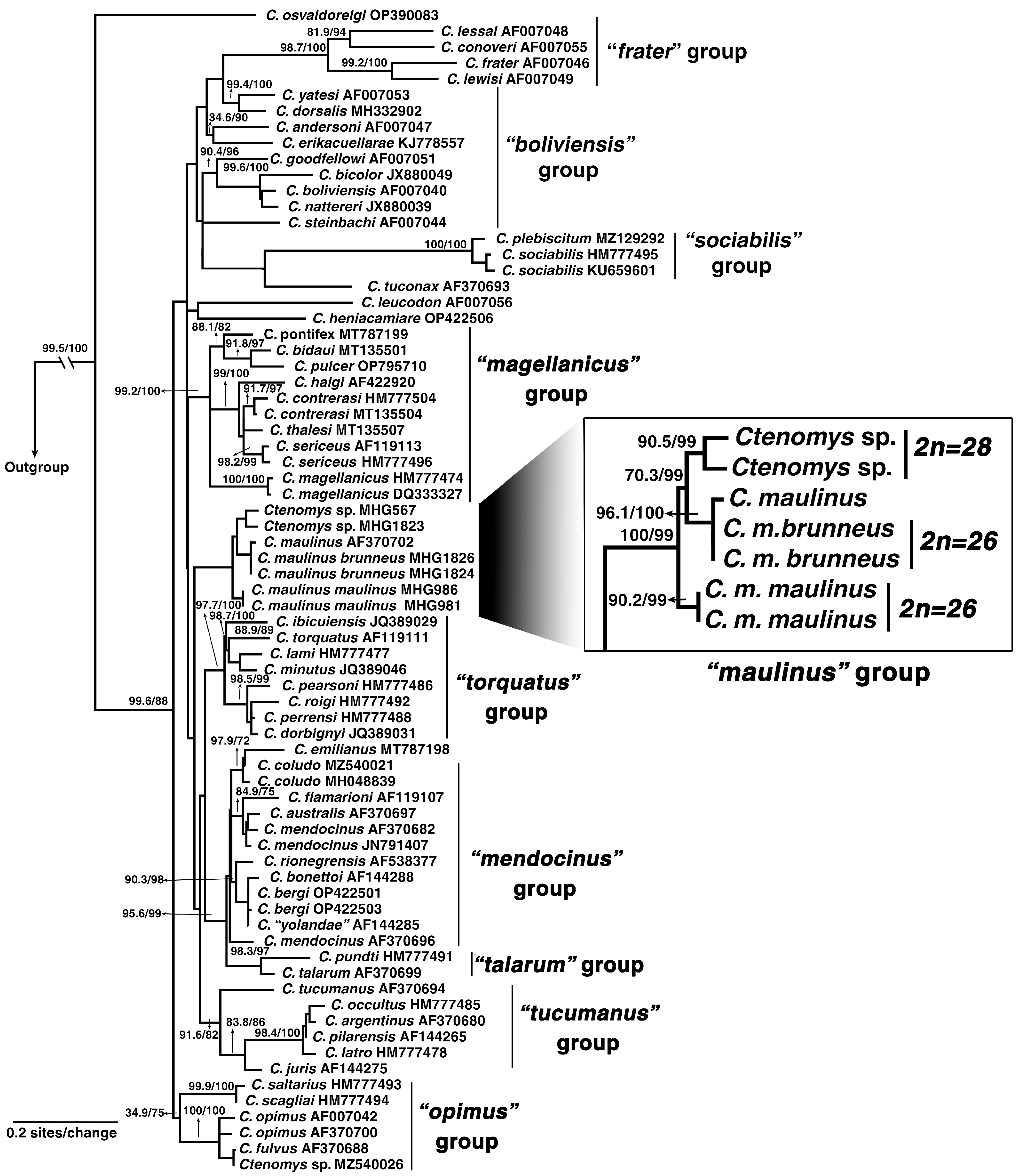 Biology 14 01776 g004