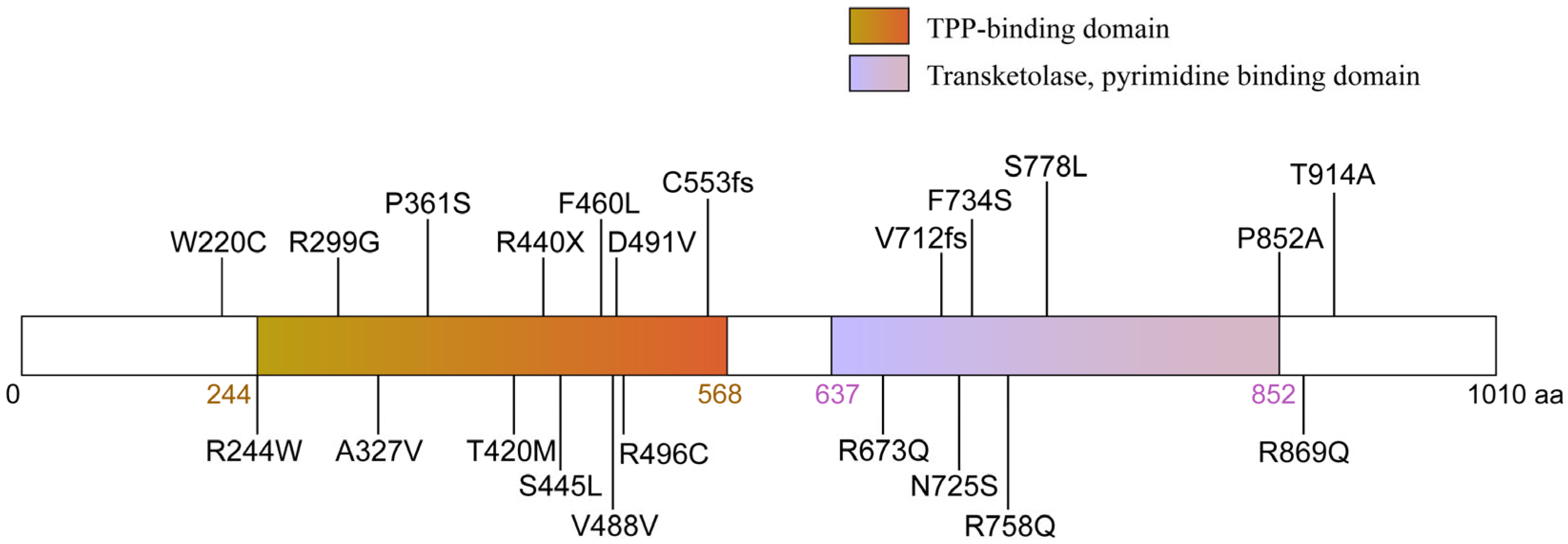 Biology 14 01777 g002 Biology 14 01777 g002