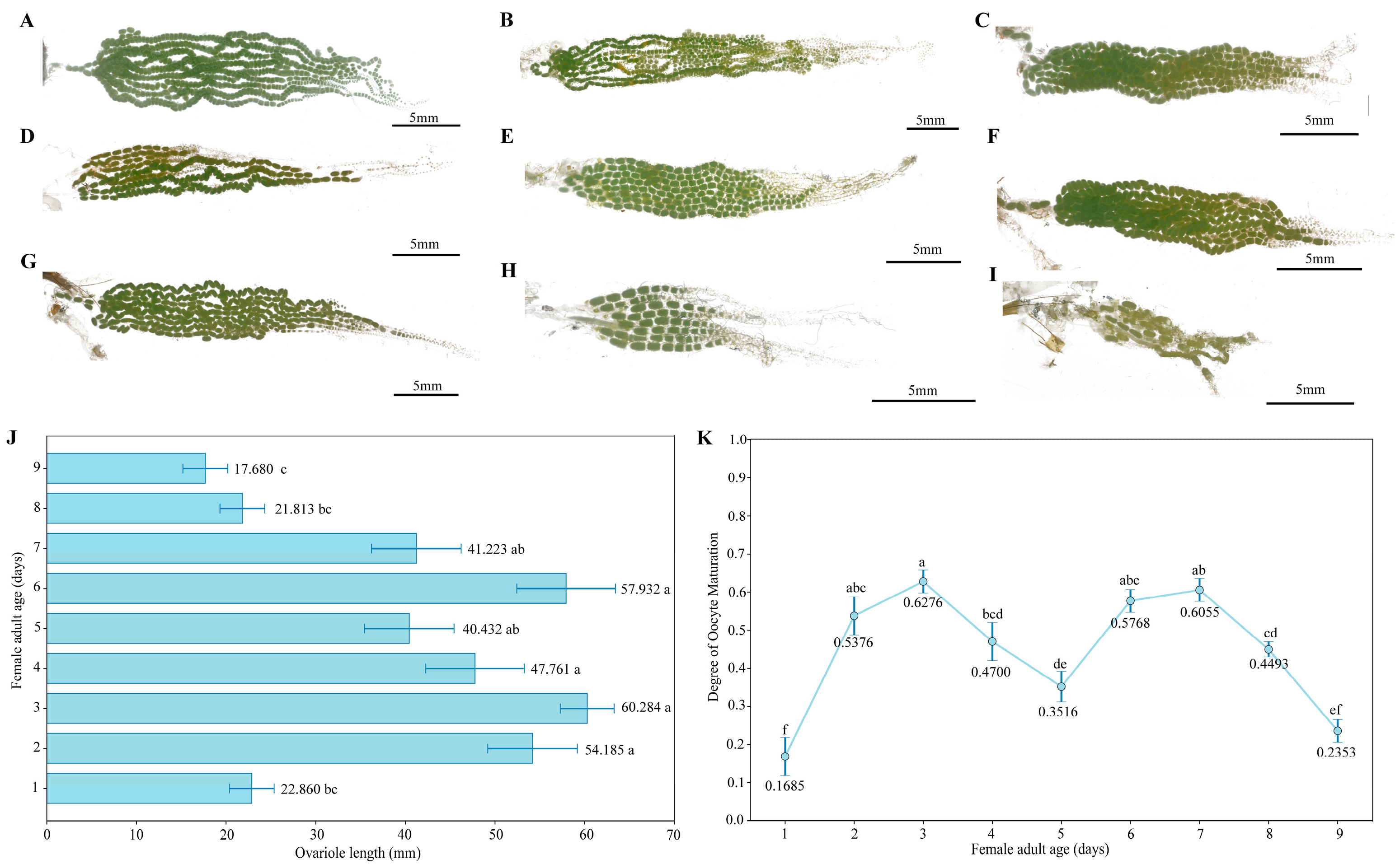 Biology 14 01780 g004 Biology 14 01780 g004