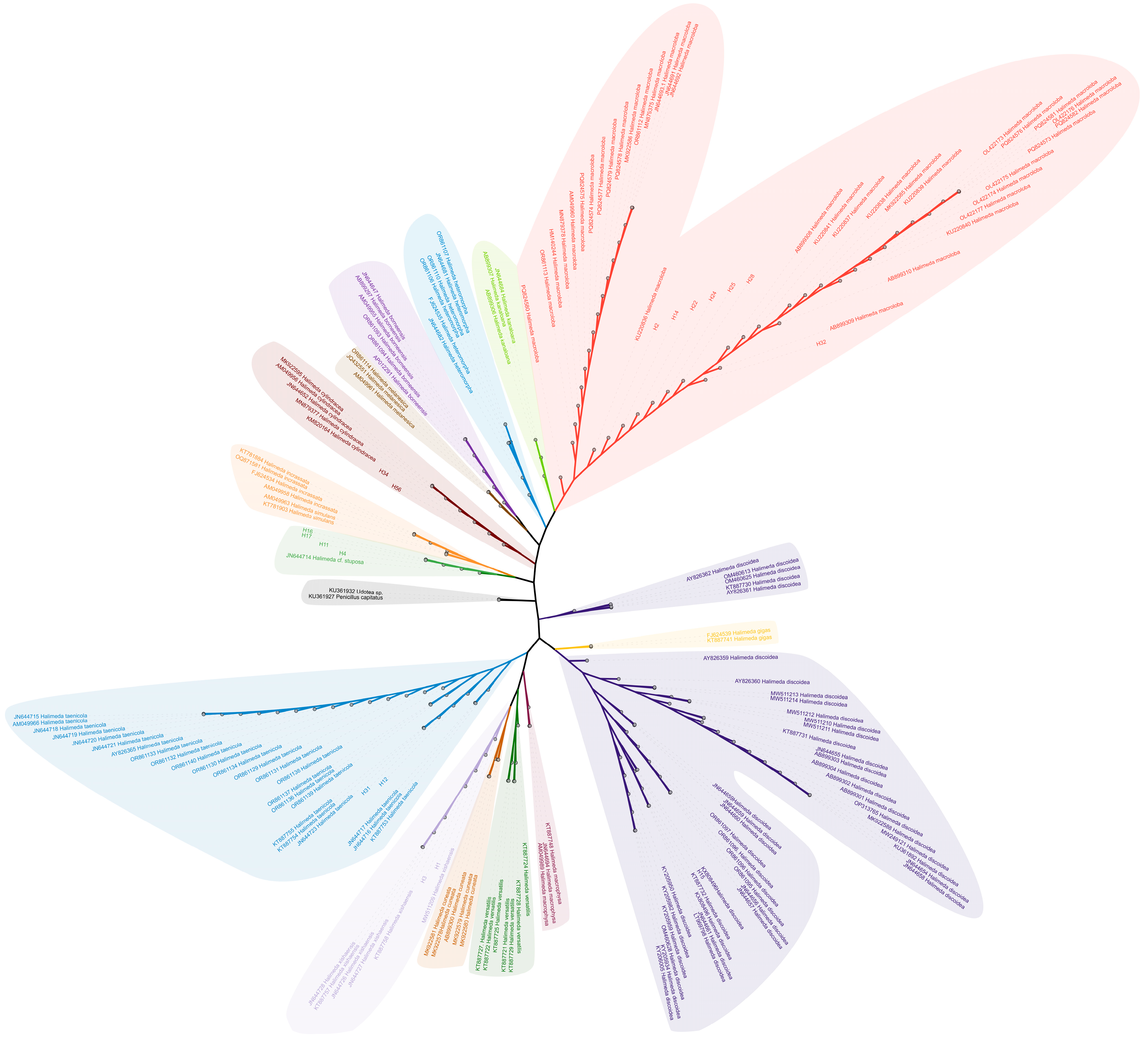 Biology 14 01782 g001 Biology 14 01782 g001