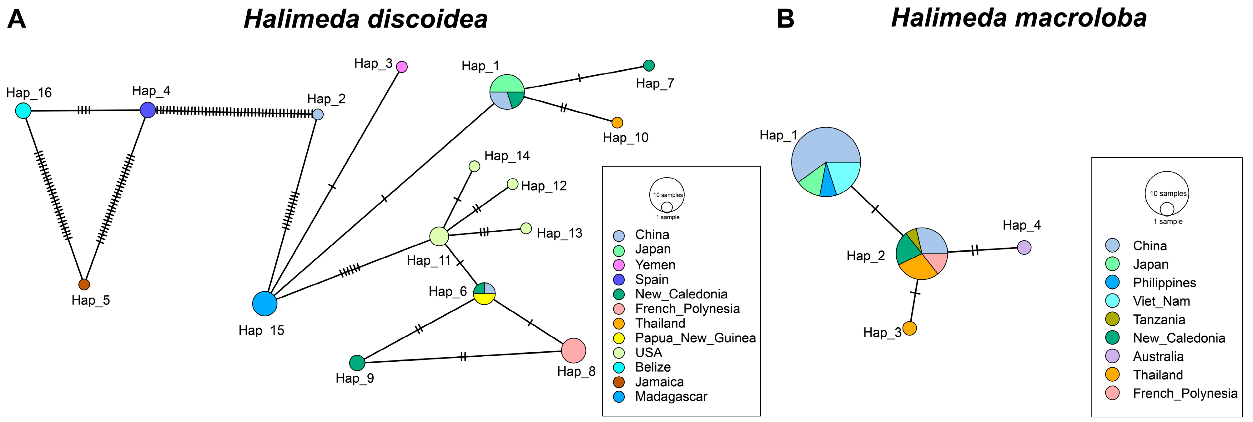 Biology 14 01782 g002 Biology 14 01782 g002
