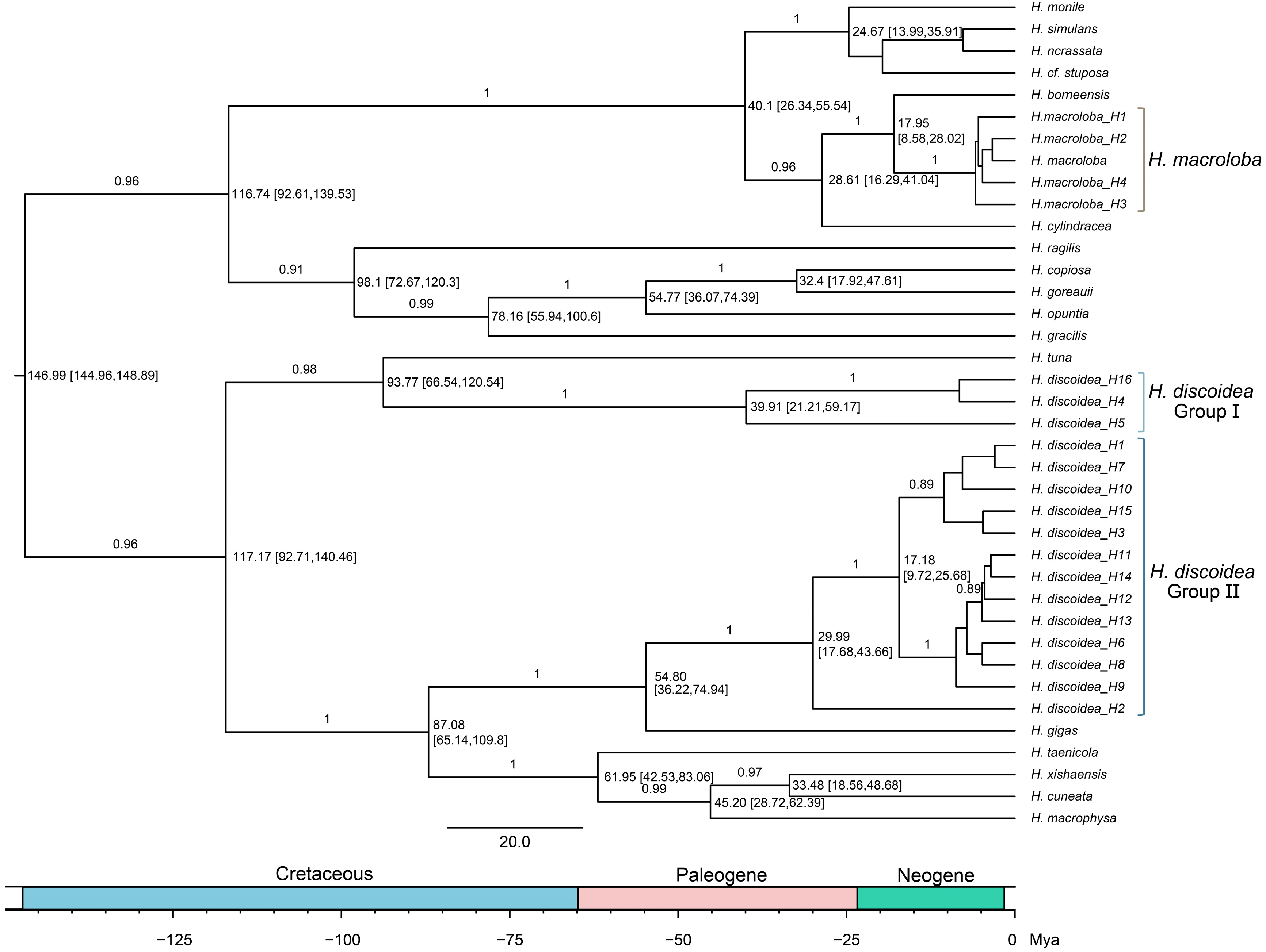 Biology 14 01782 g007 Biology 14 01782 g007