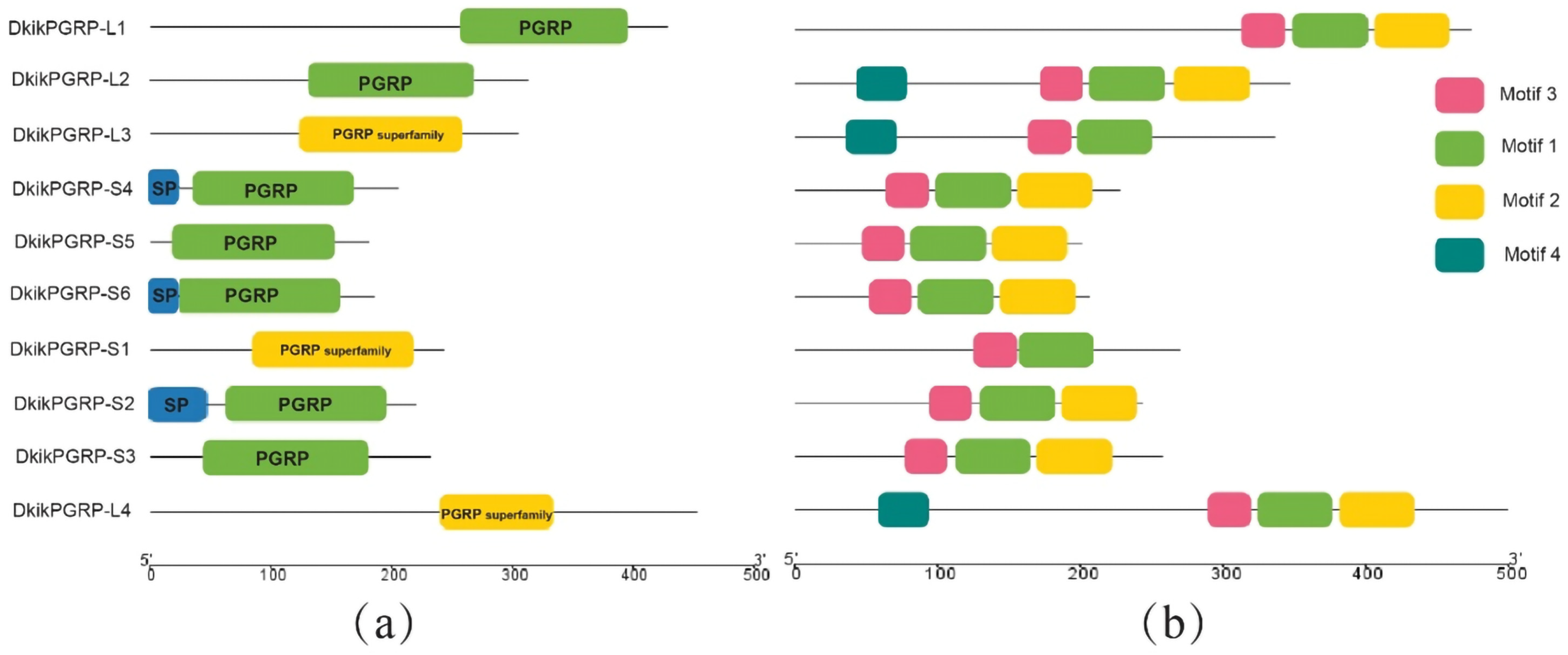 Biology 14 01783 g001 Biology 14 01783 g001