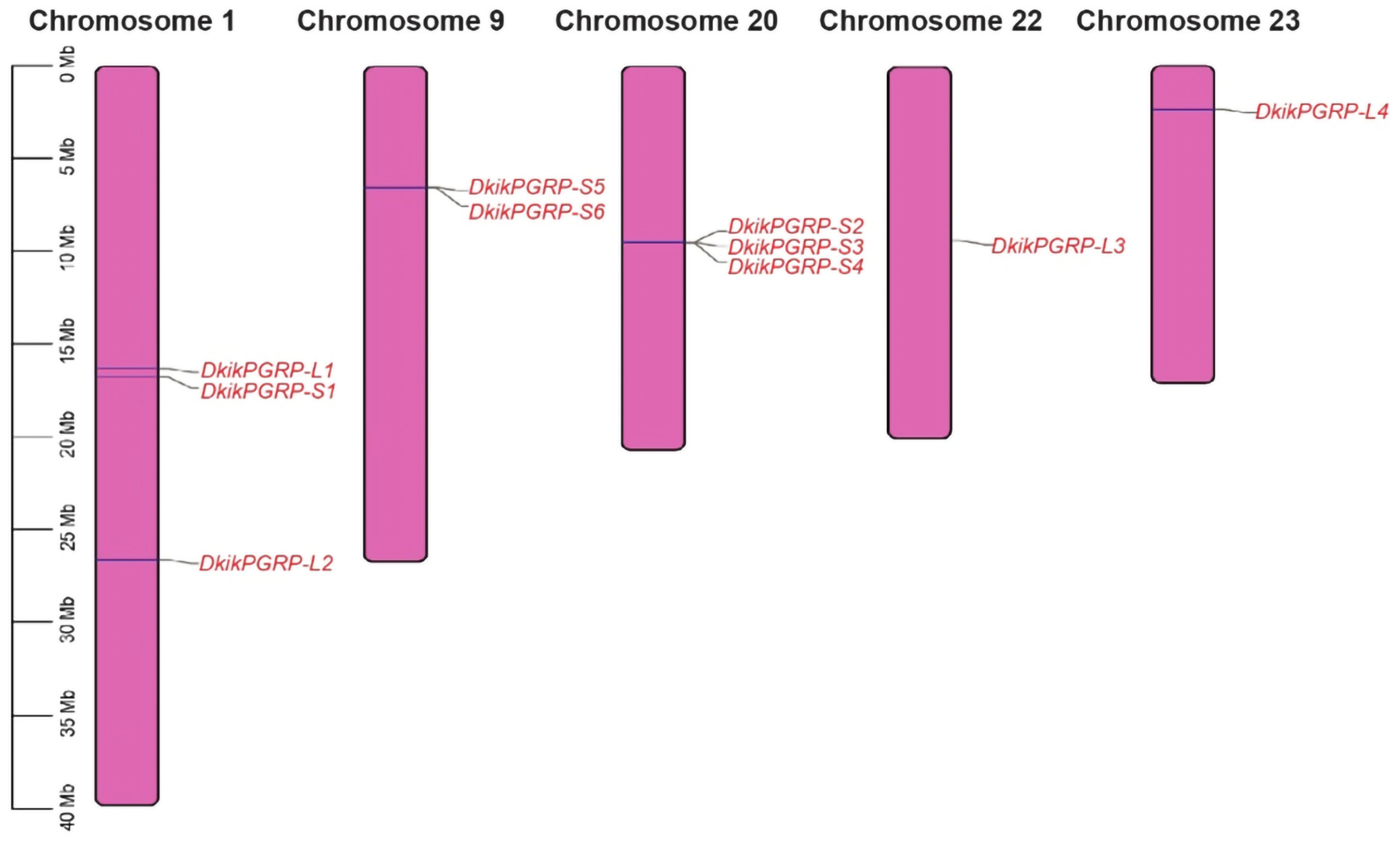 Biology 14 01783 g002 Biology 14 01783 g002