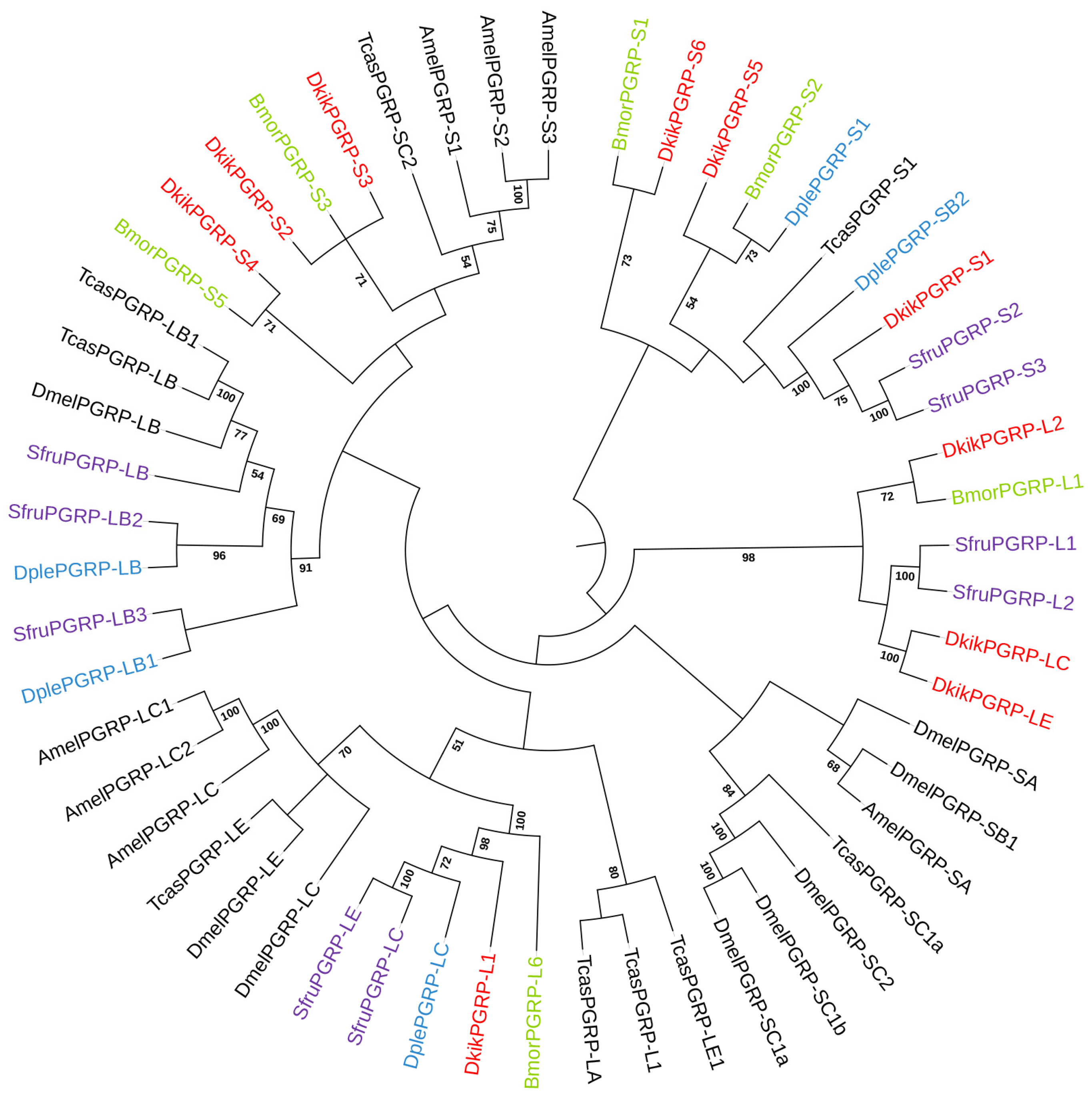 Biology 14 01783 g004 Biology 14 01783 g004