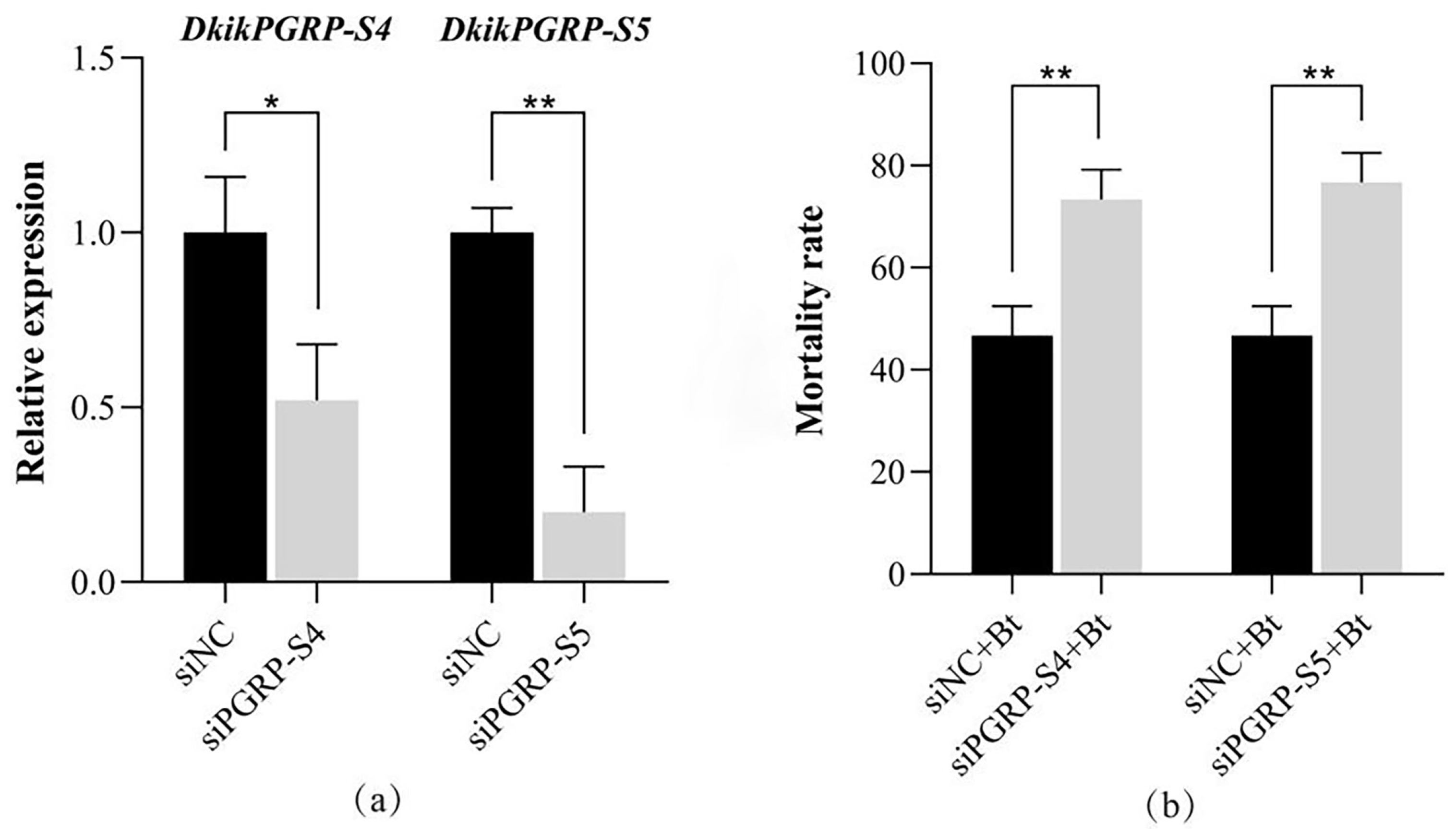 Biology 14 01783 g006 Biology 14 01783 g006