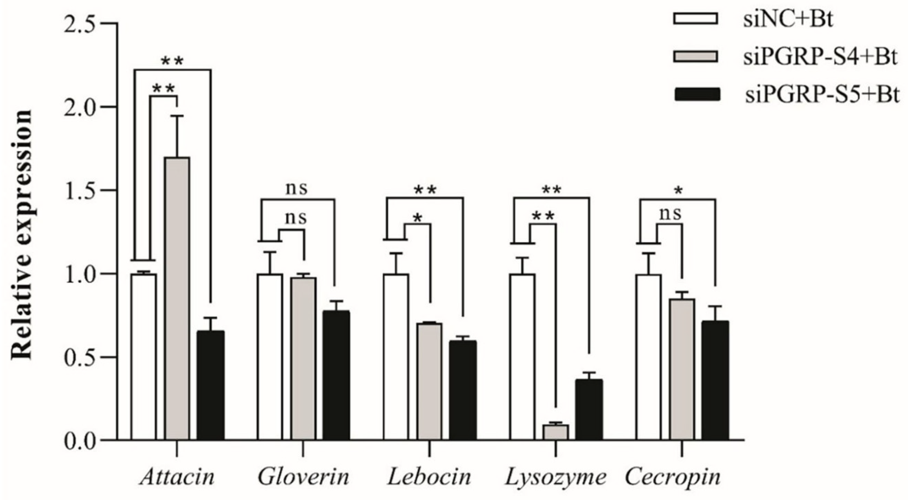 Biology 14 01783 g007 Biology 14 01783 g007