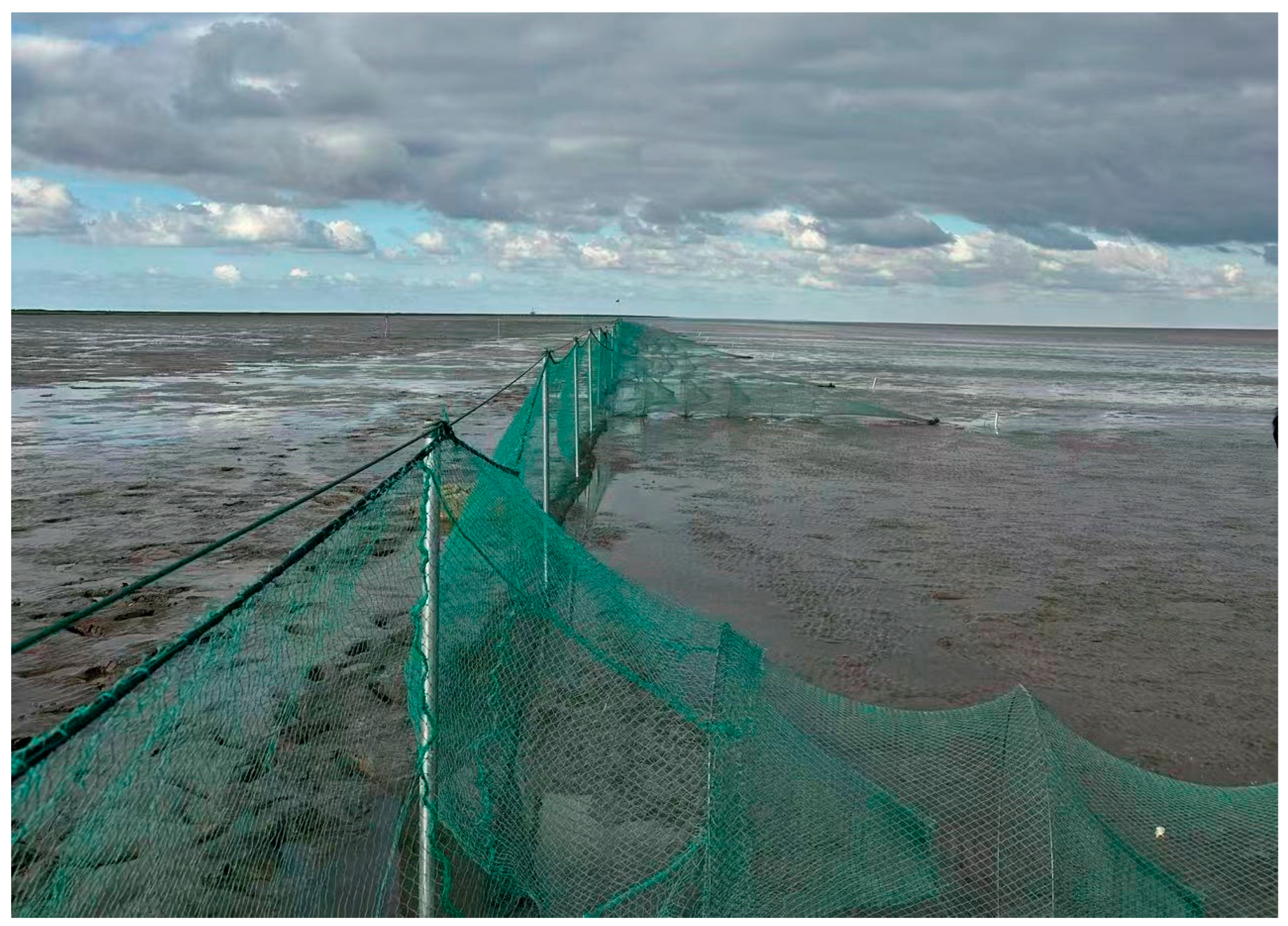 Biology 14 01785 g002 Biology 14 01785 g002