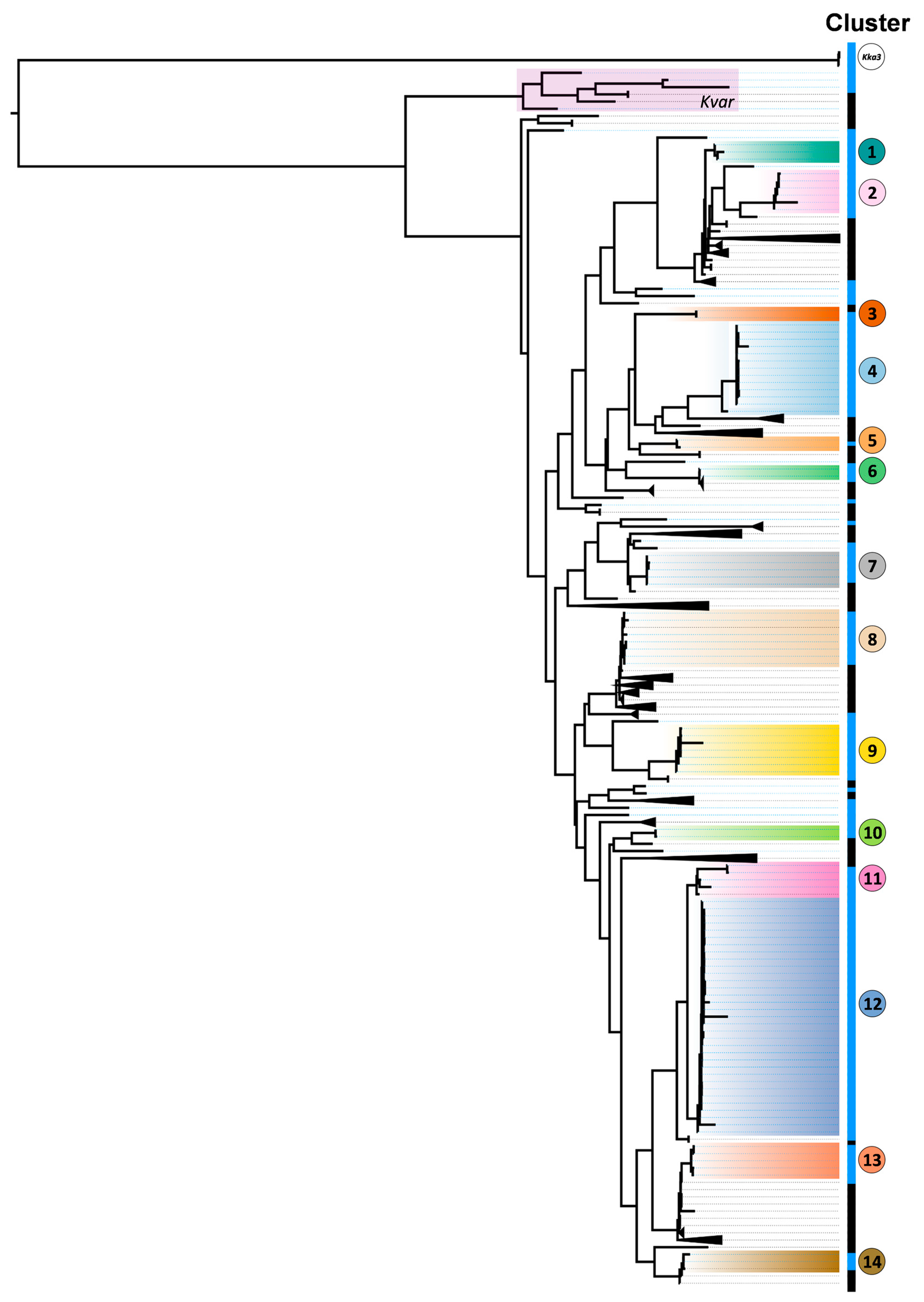 Biology 14 01795 g001 Biology 14 01795 g001