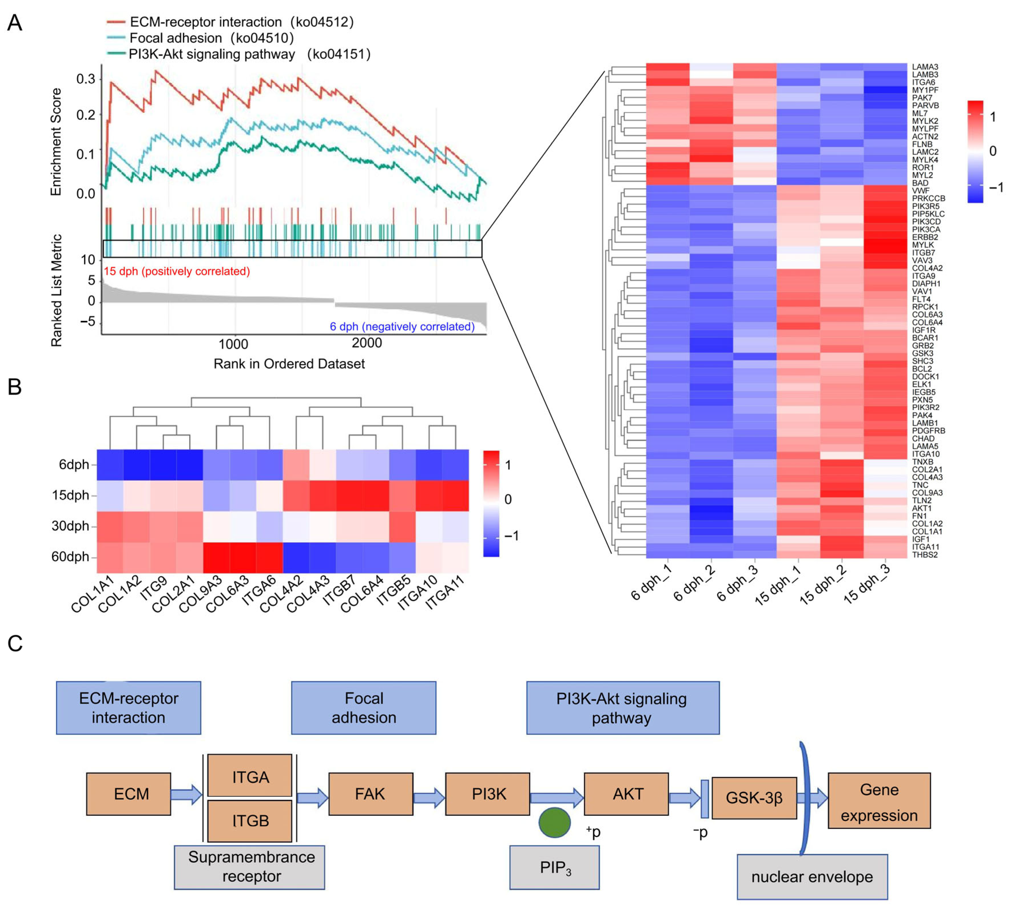 Biology 14 01797 g006