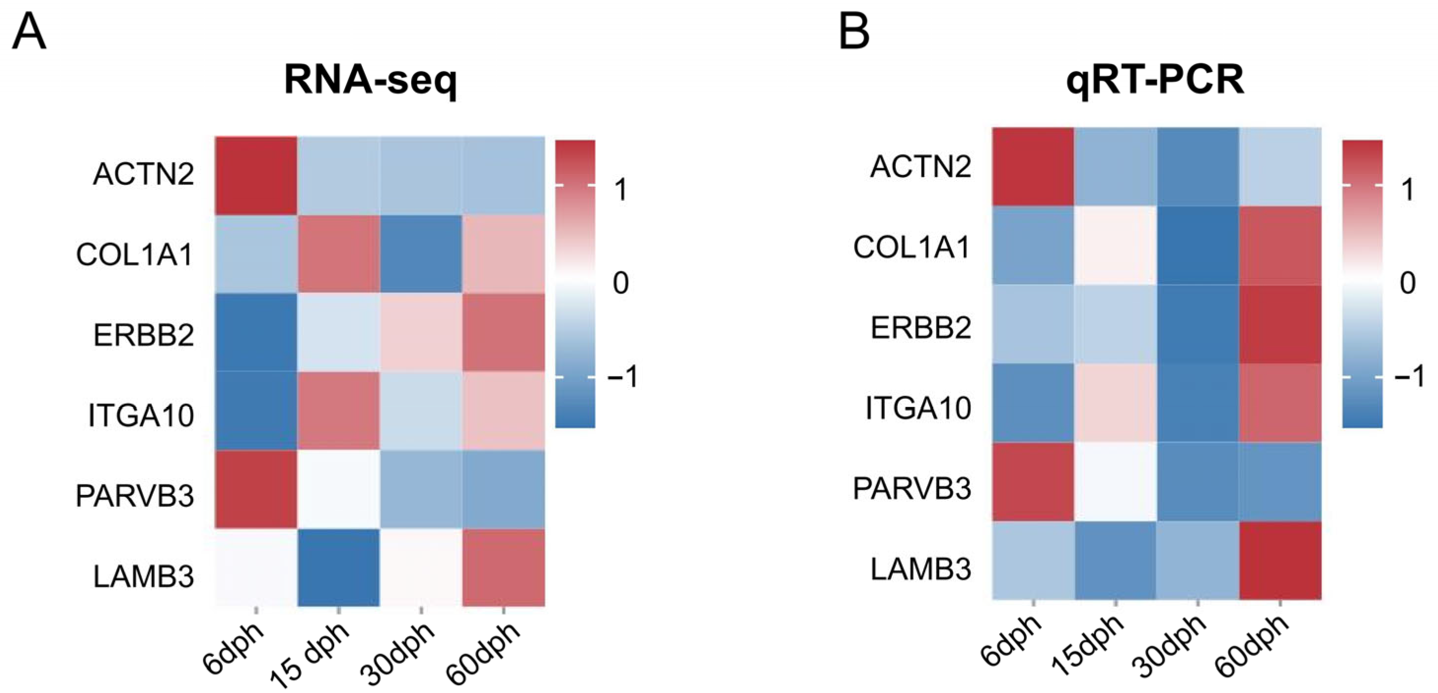 Biology 14 01797 g007