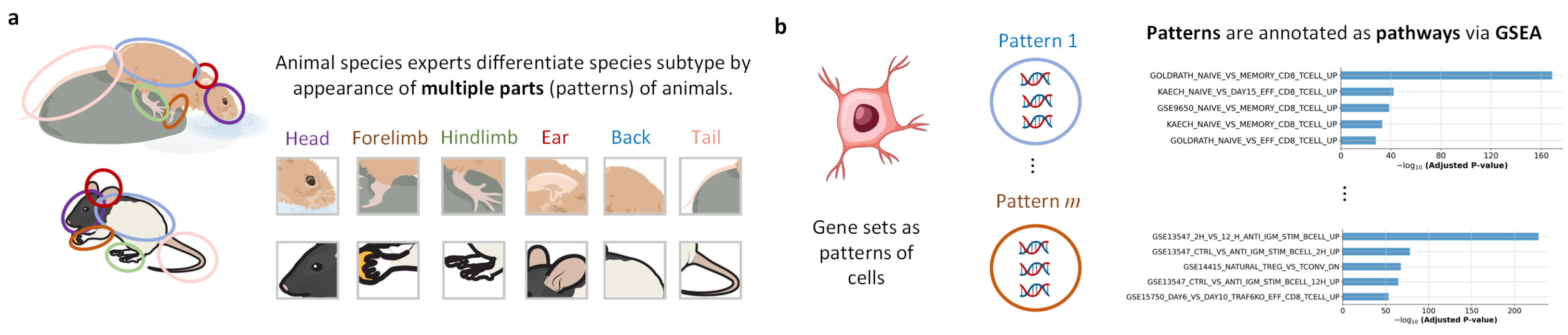 Biology 15 00002 g001 Biology 15 00002 g001