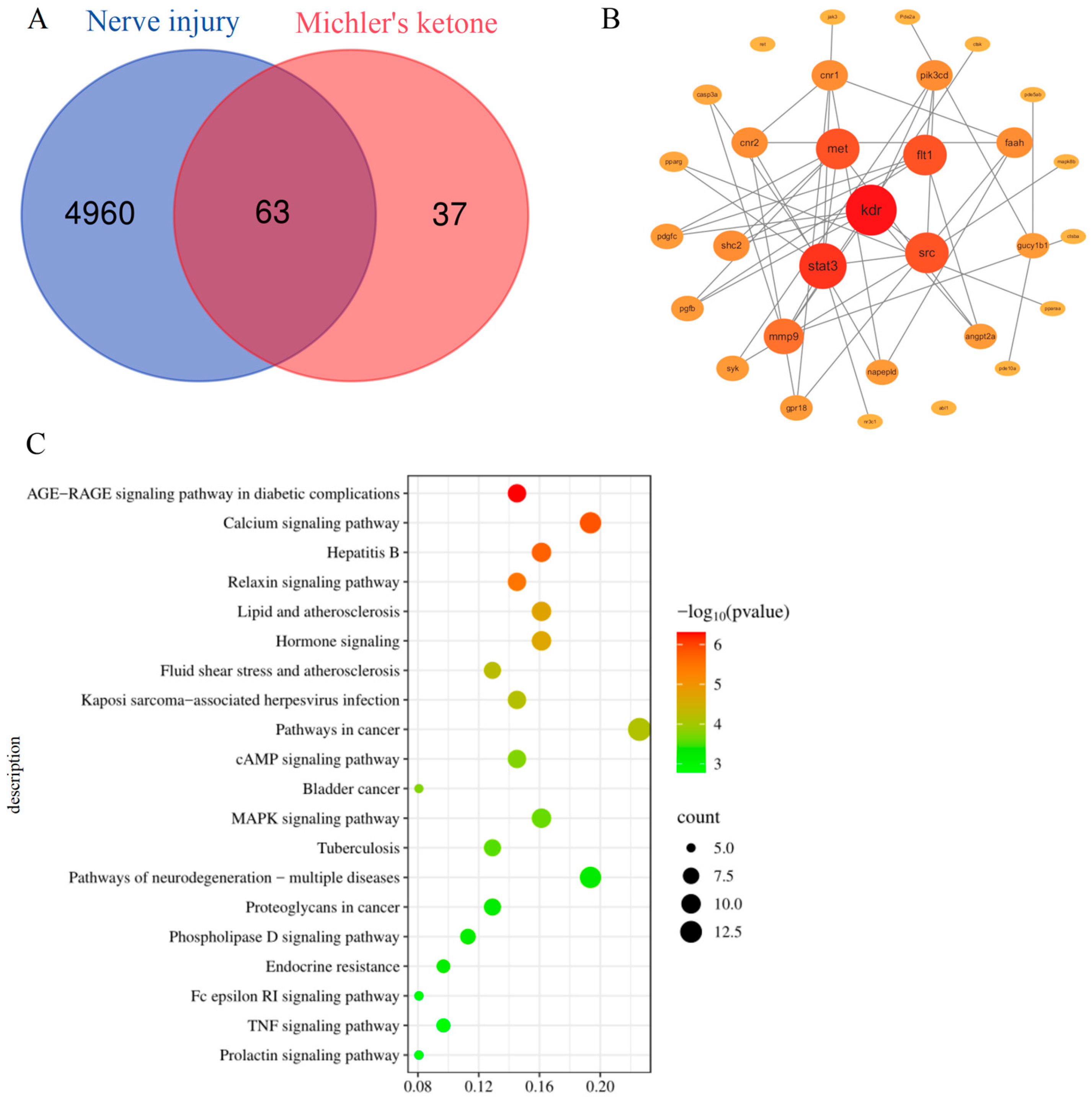 Biology 15 00003 g001