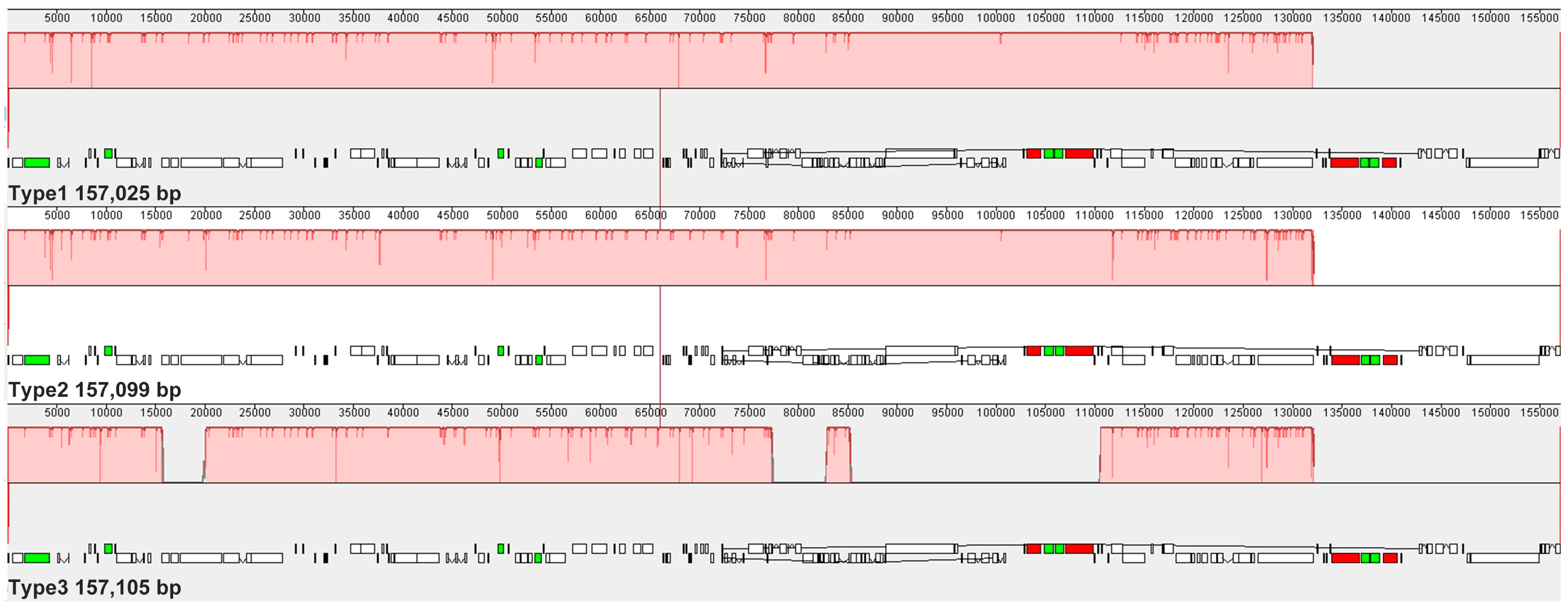Biology 15 00007 g007