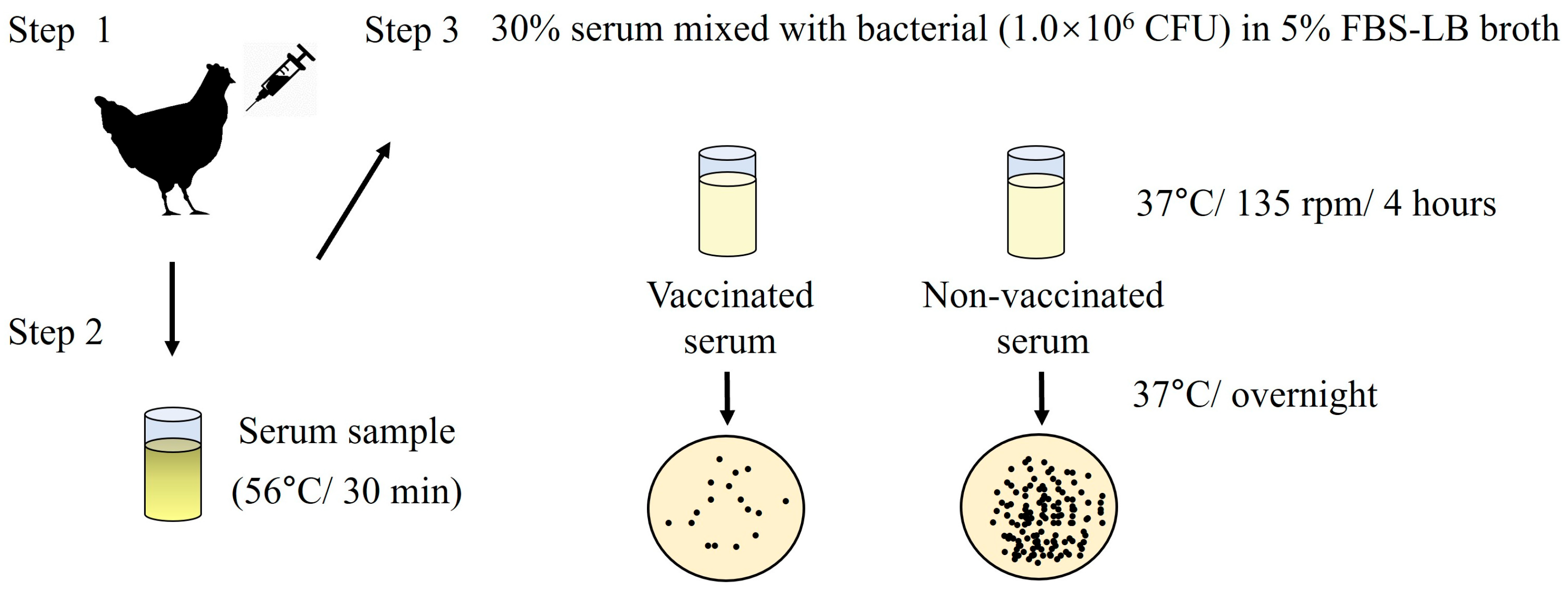 Biology 15 00011 g004