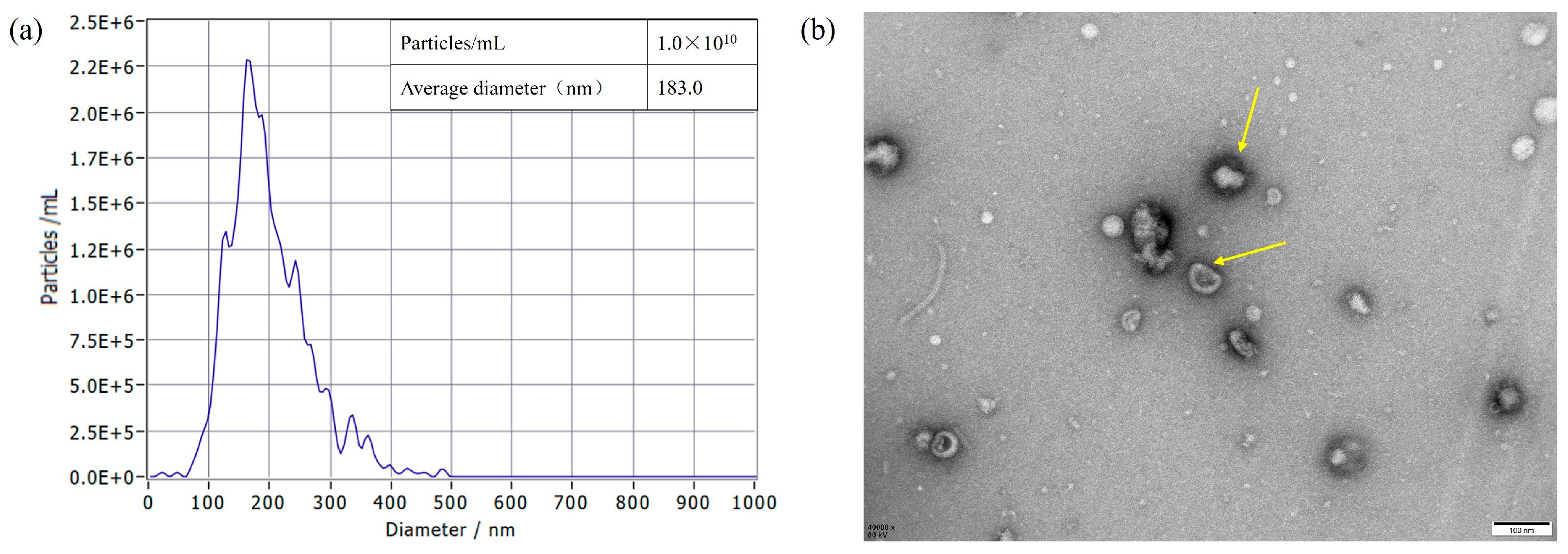 Biology 15 00011 g005