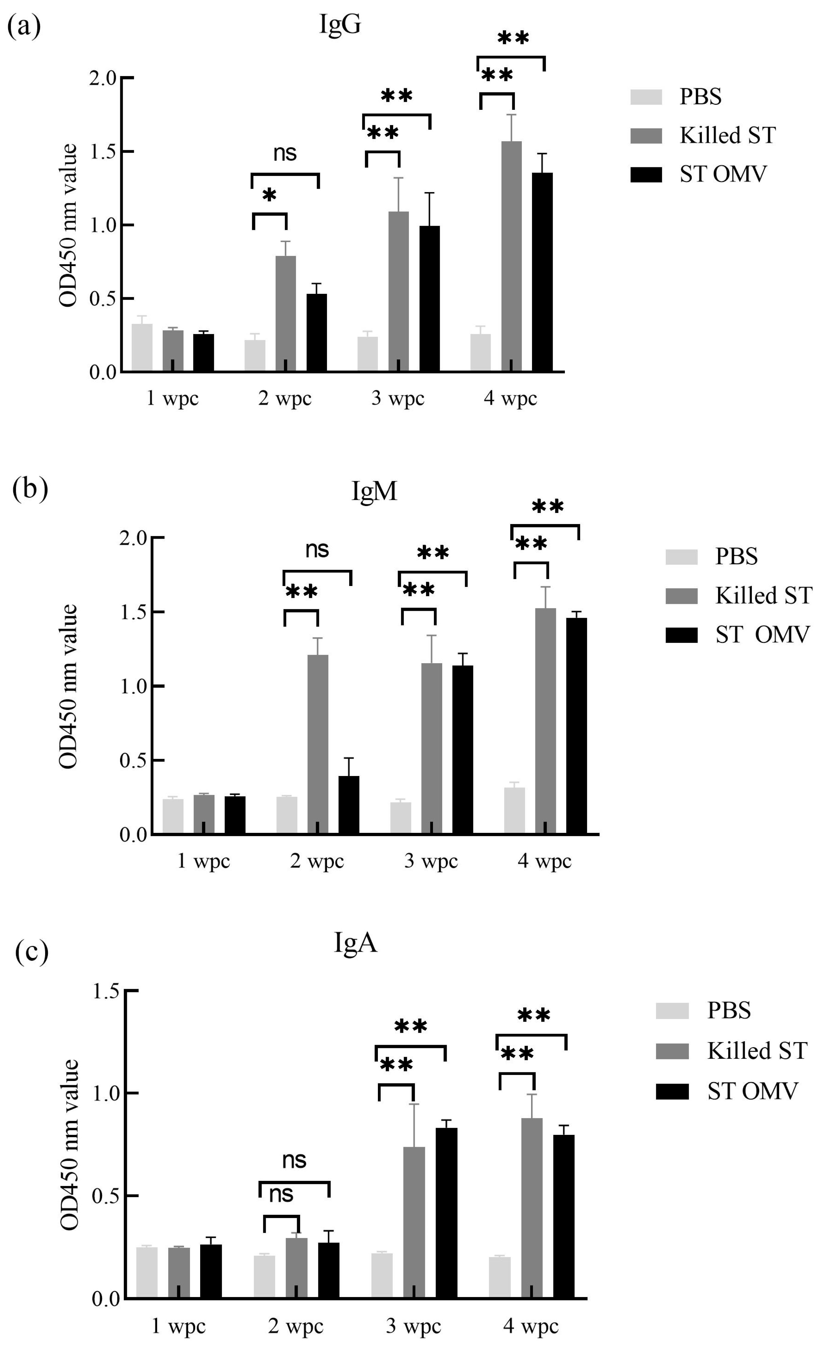 Biology 15 00011 g007