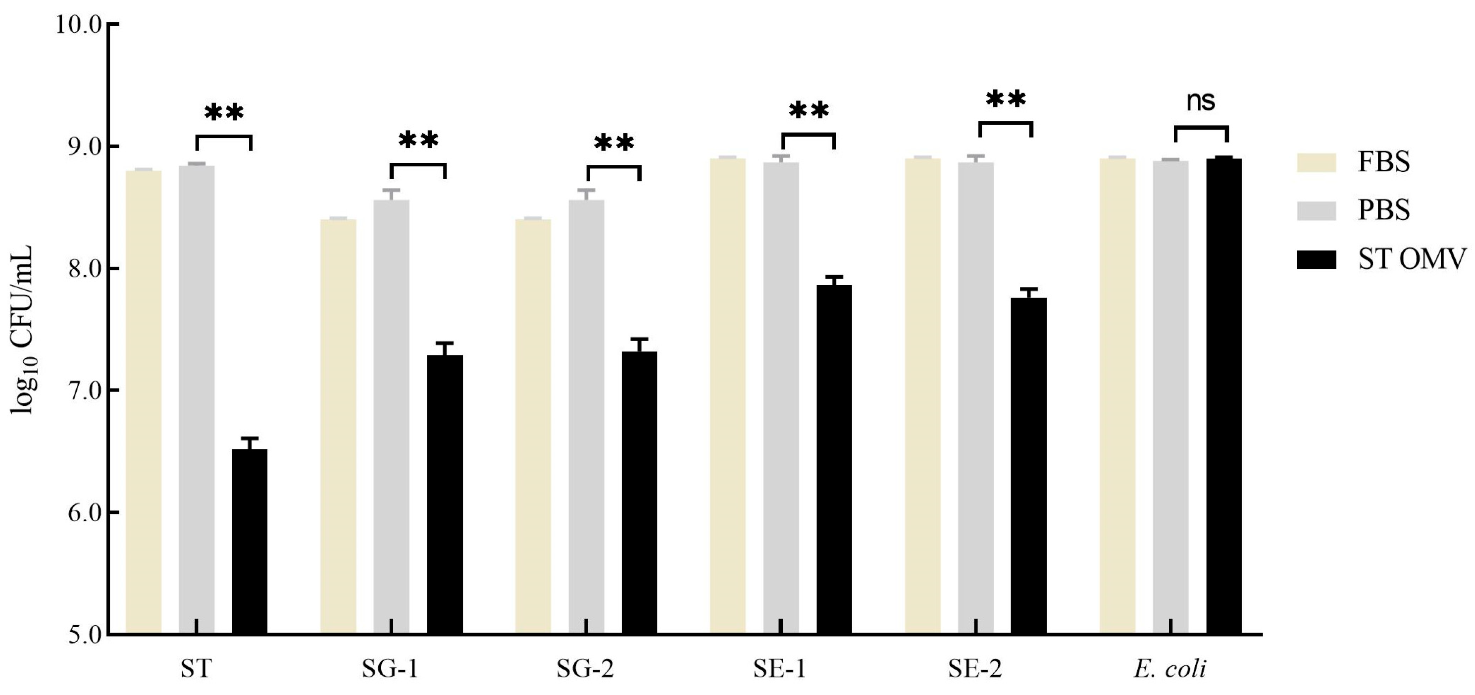 Biology 15 00011 g008