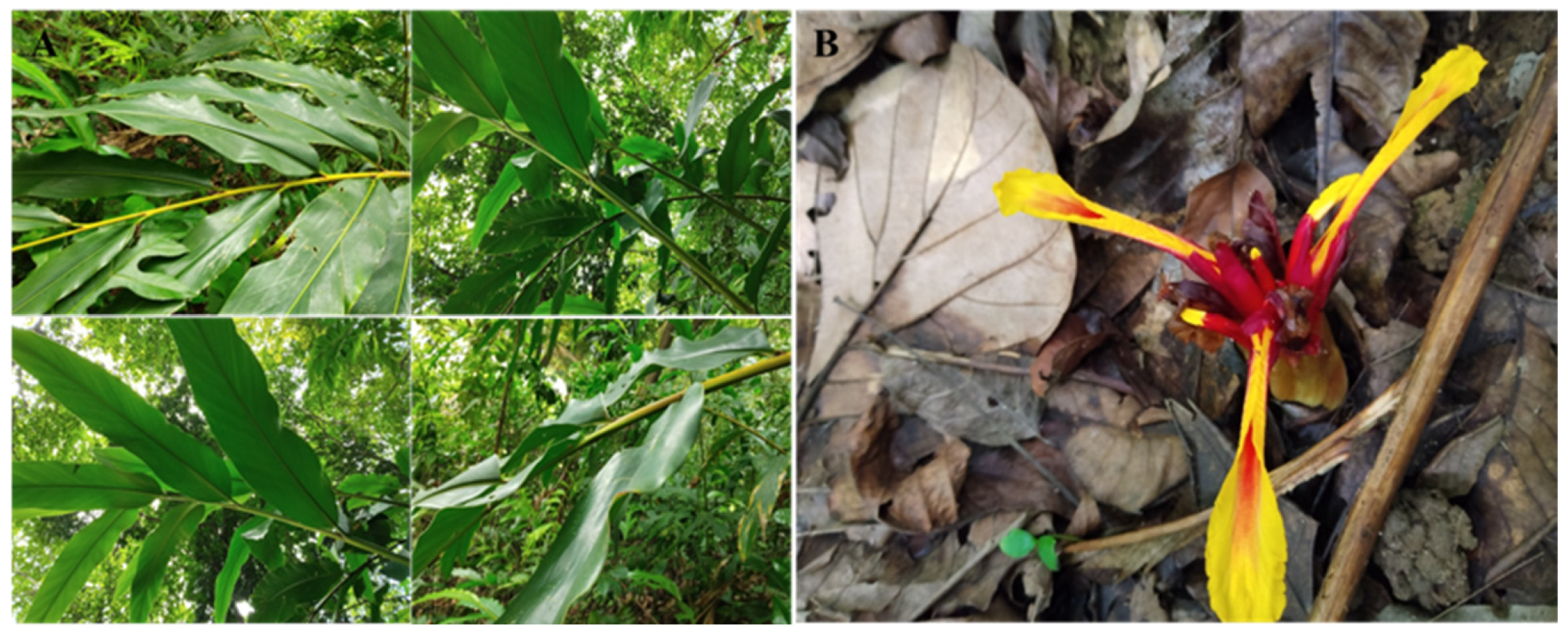 Biology 15 00014 g001