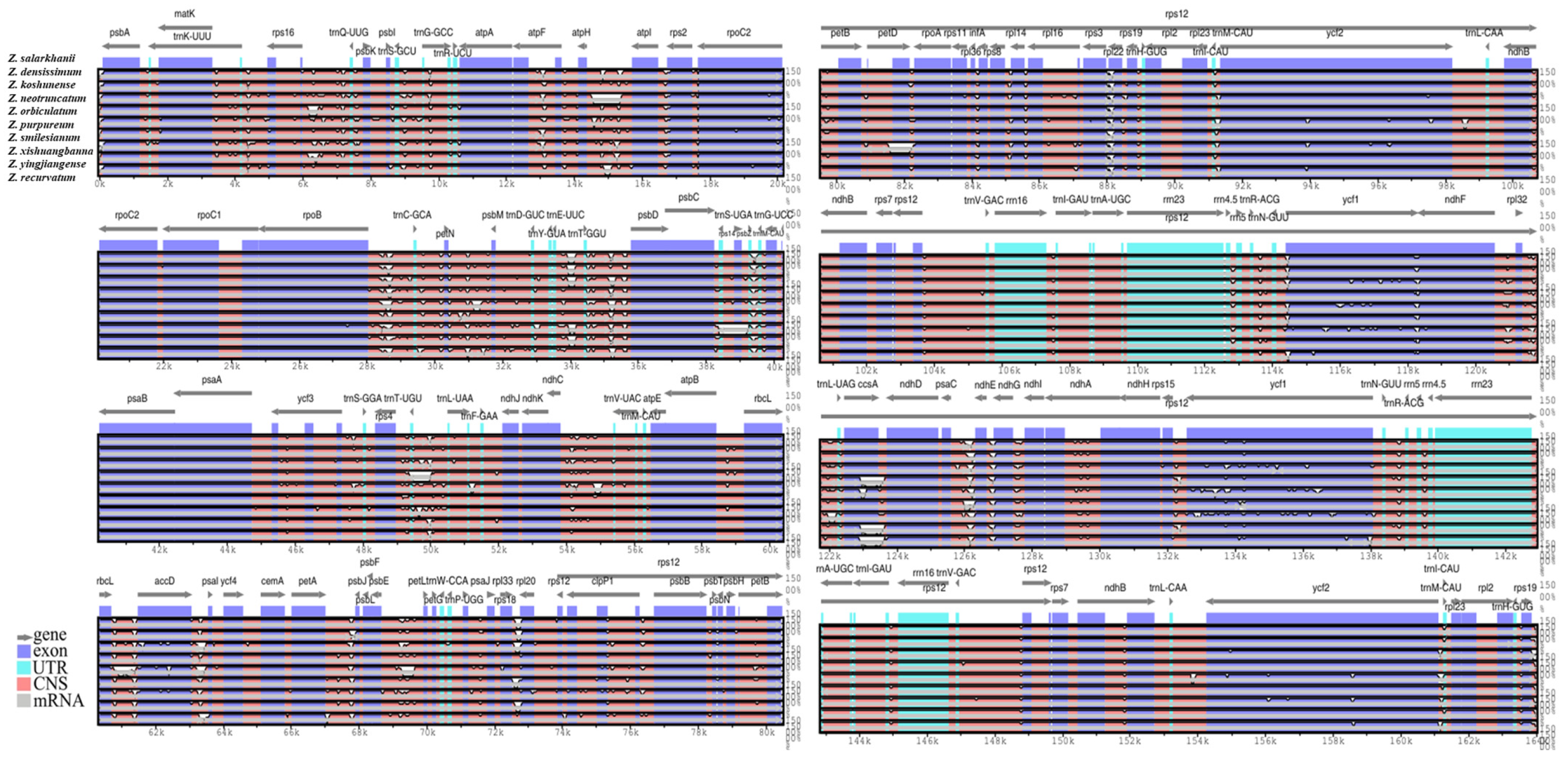 Biology 15 00014 g009