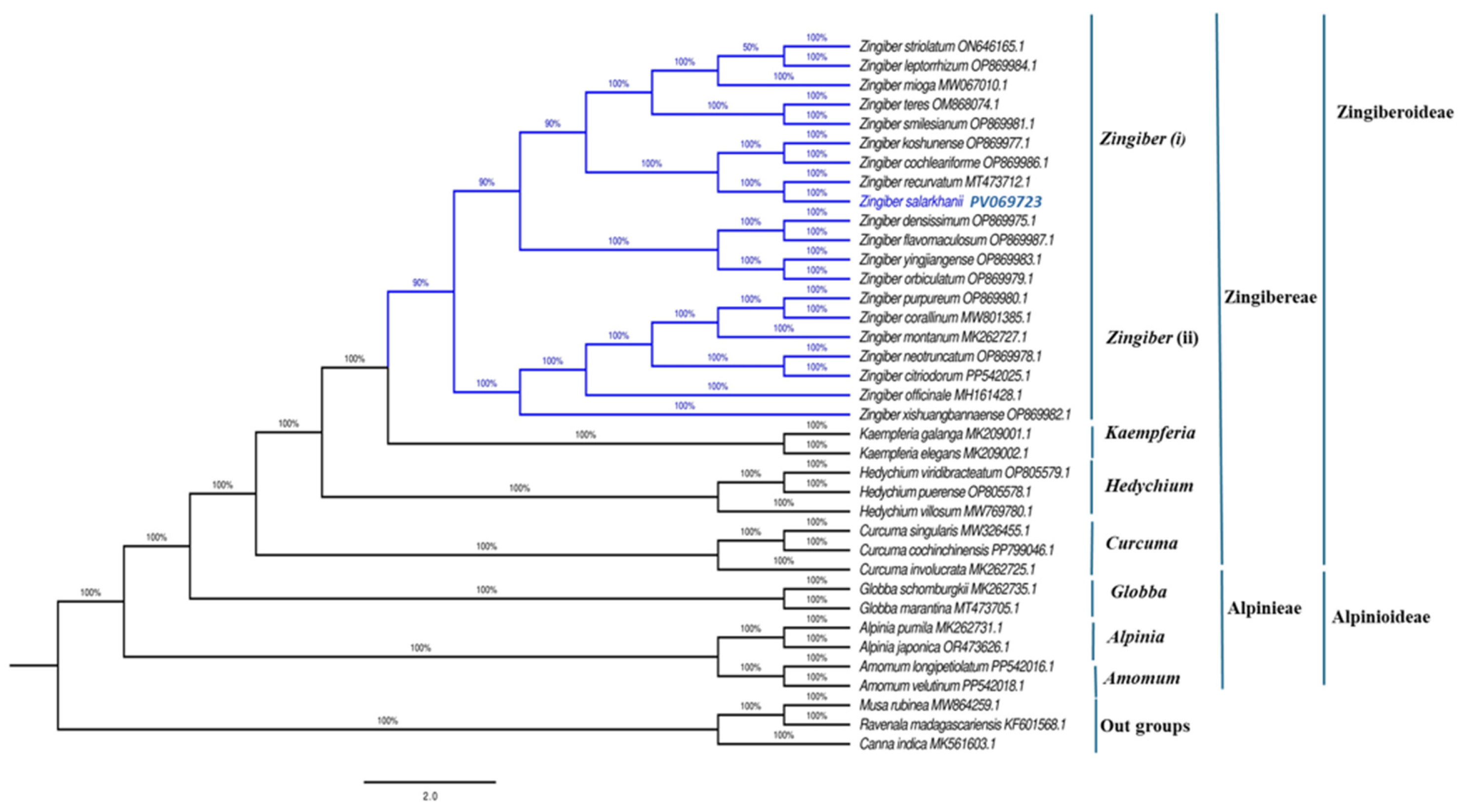 Biology 15 00014 g011