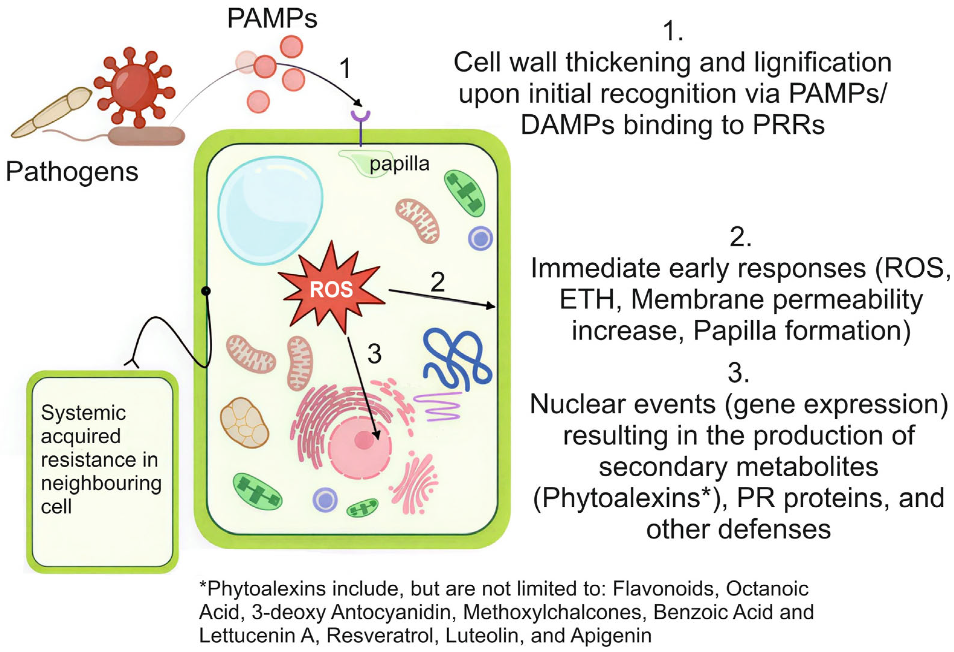 Biology 15 00018 g001