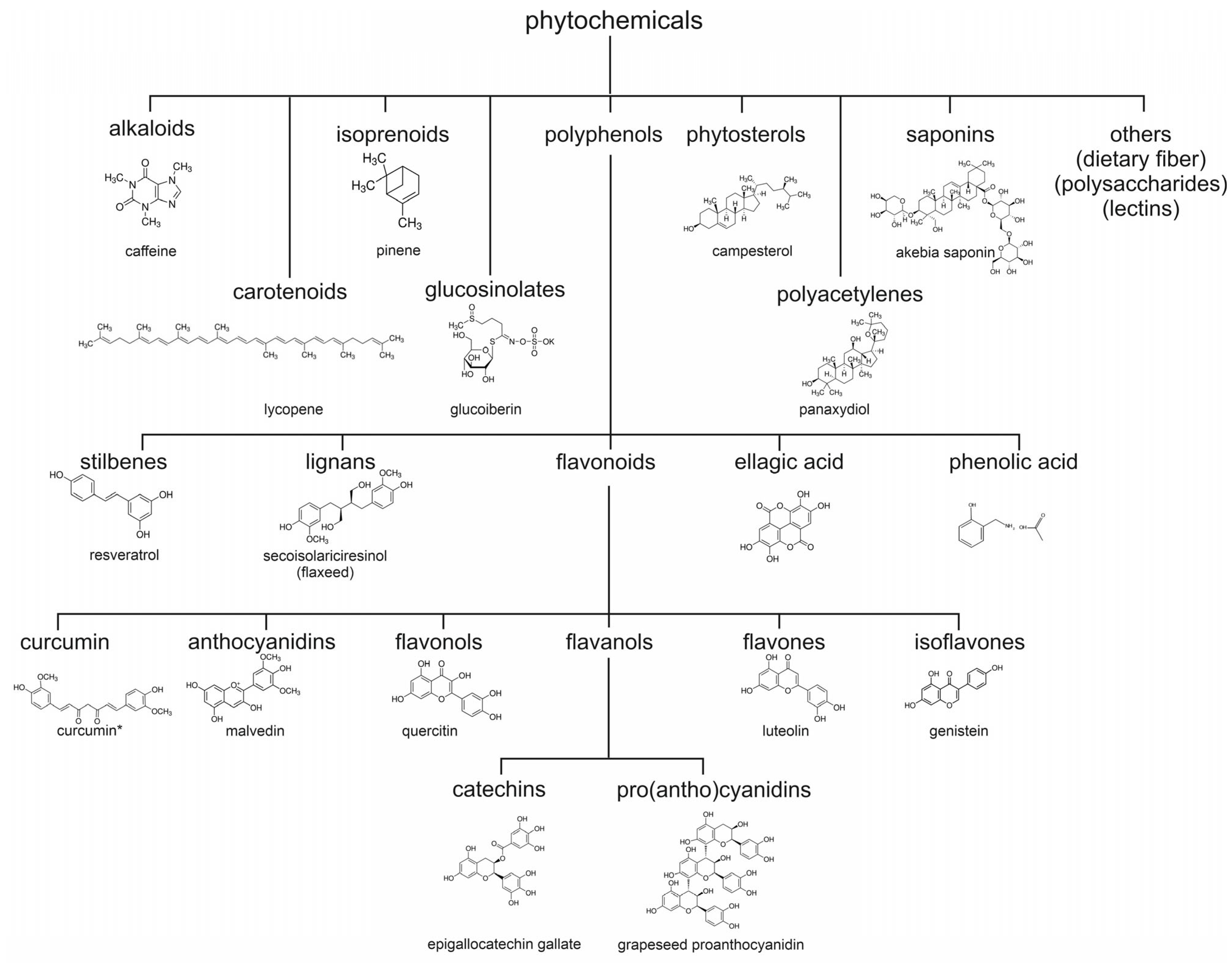 Biology 15 00018 g002