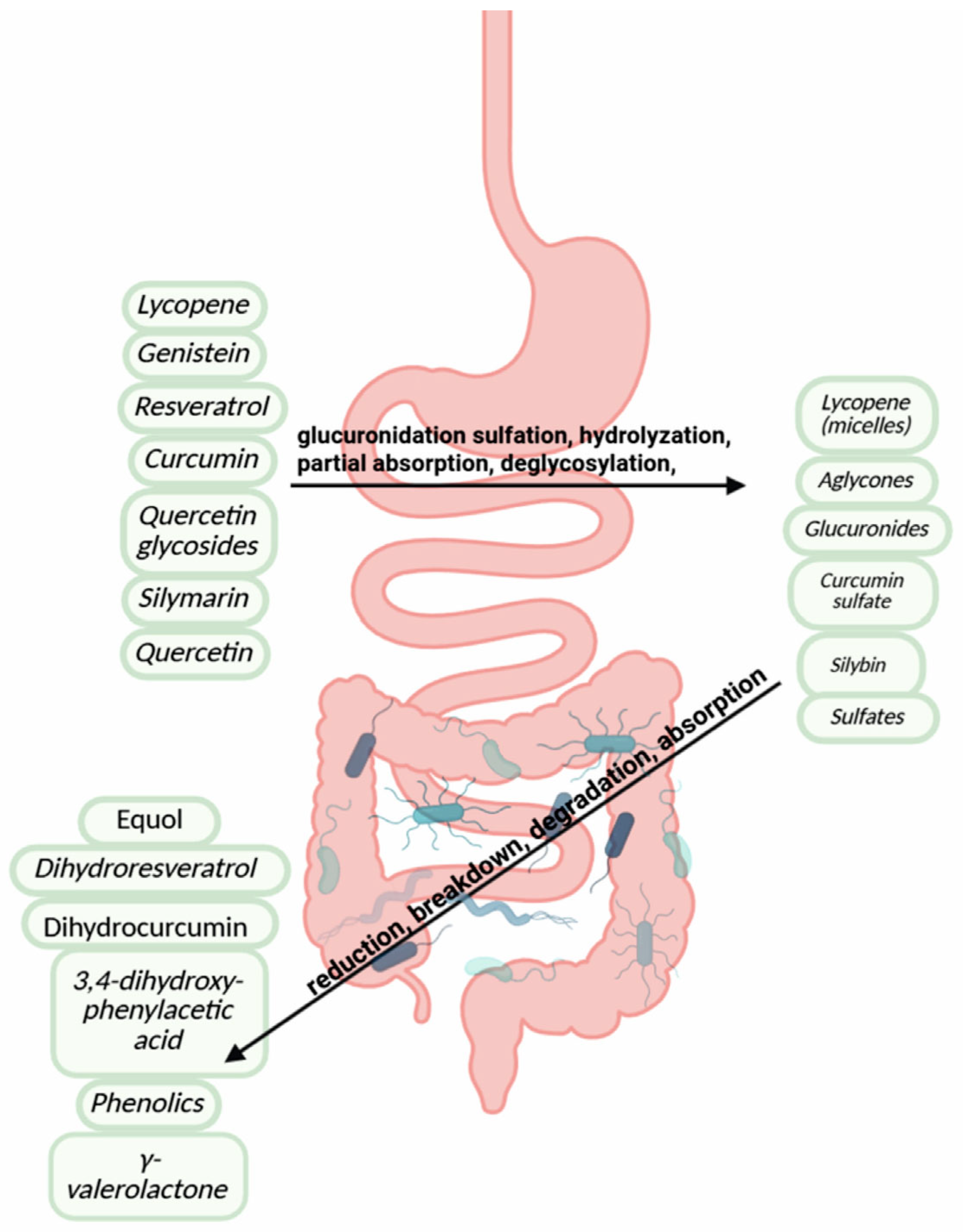 Biology 15 00018 g003
