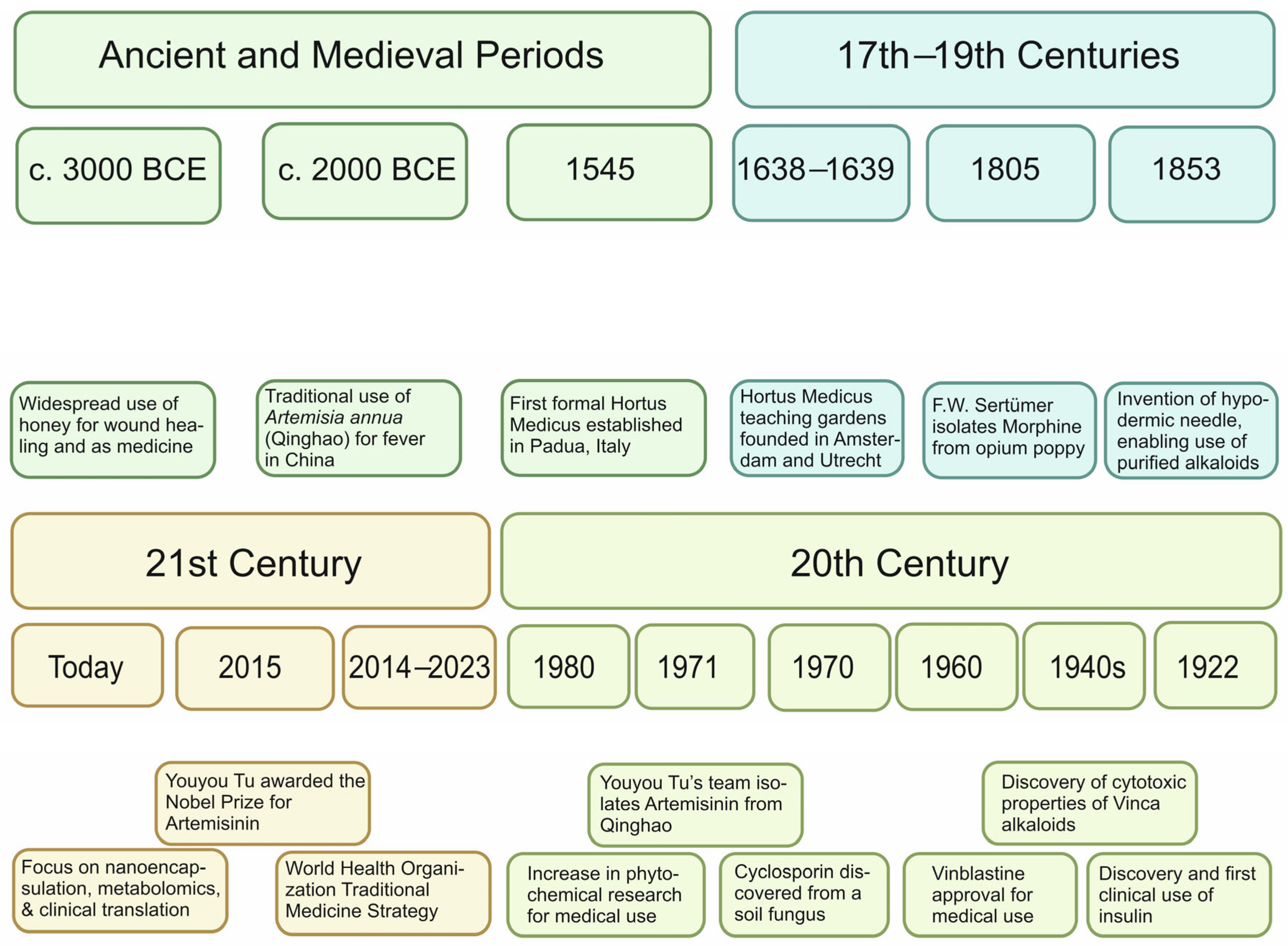 Biology 15 00018 g004