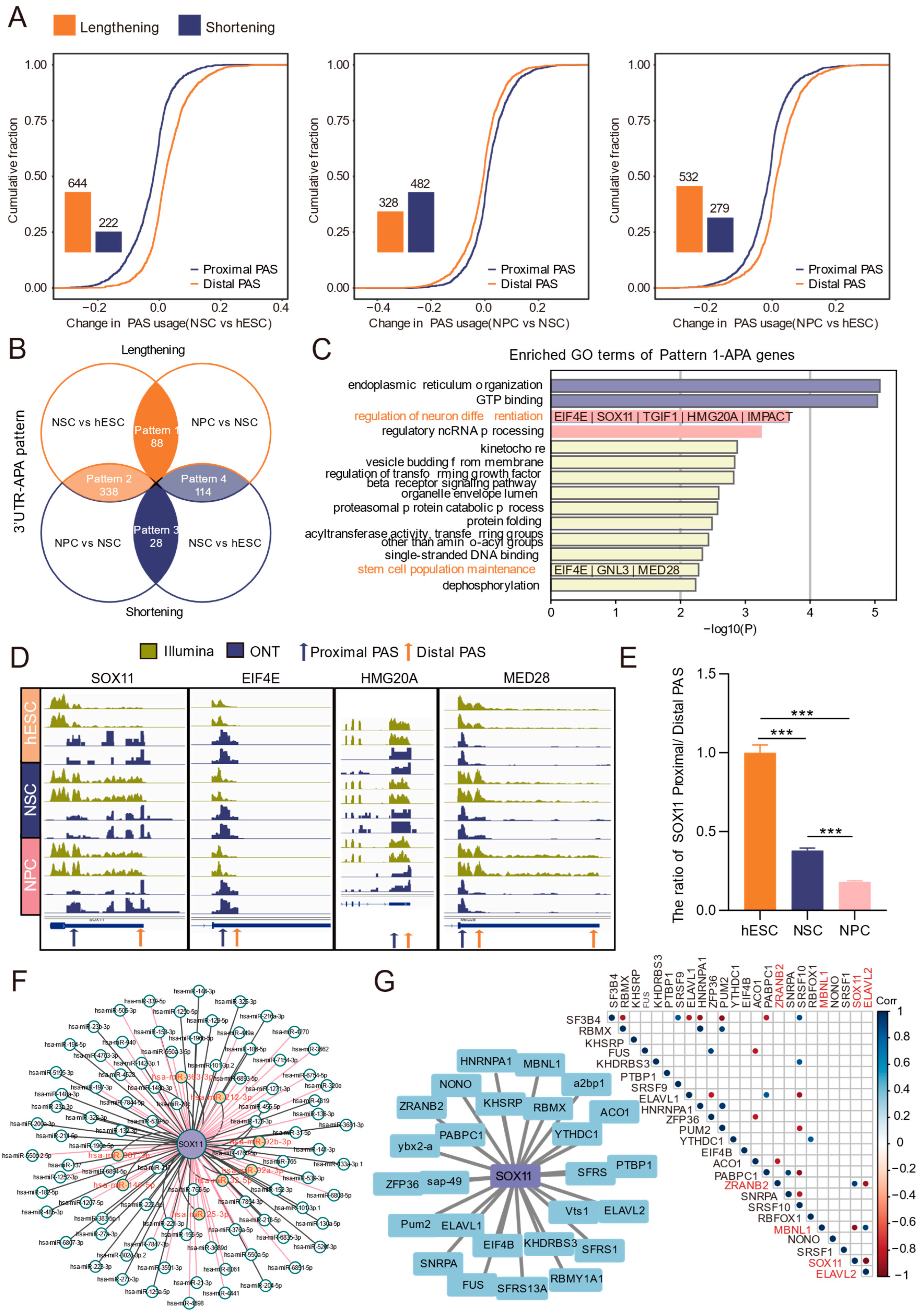 Biology 15 00024 g004 Biology 15 00024 g004