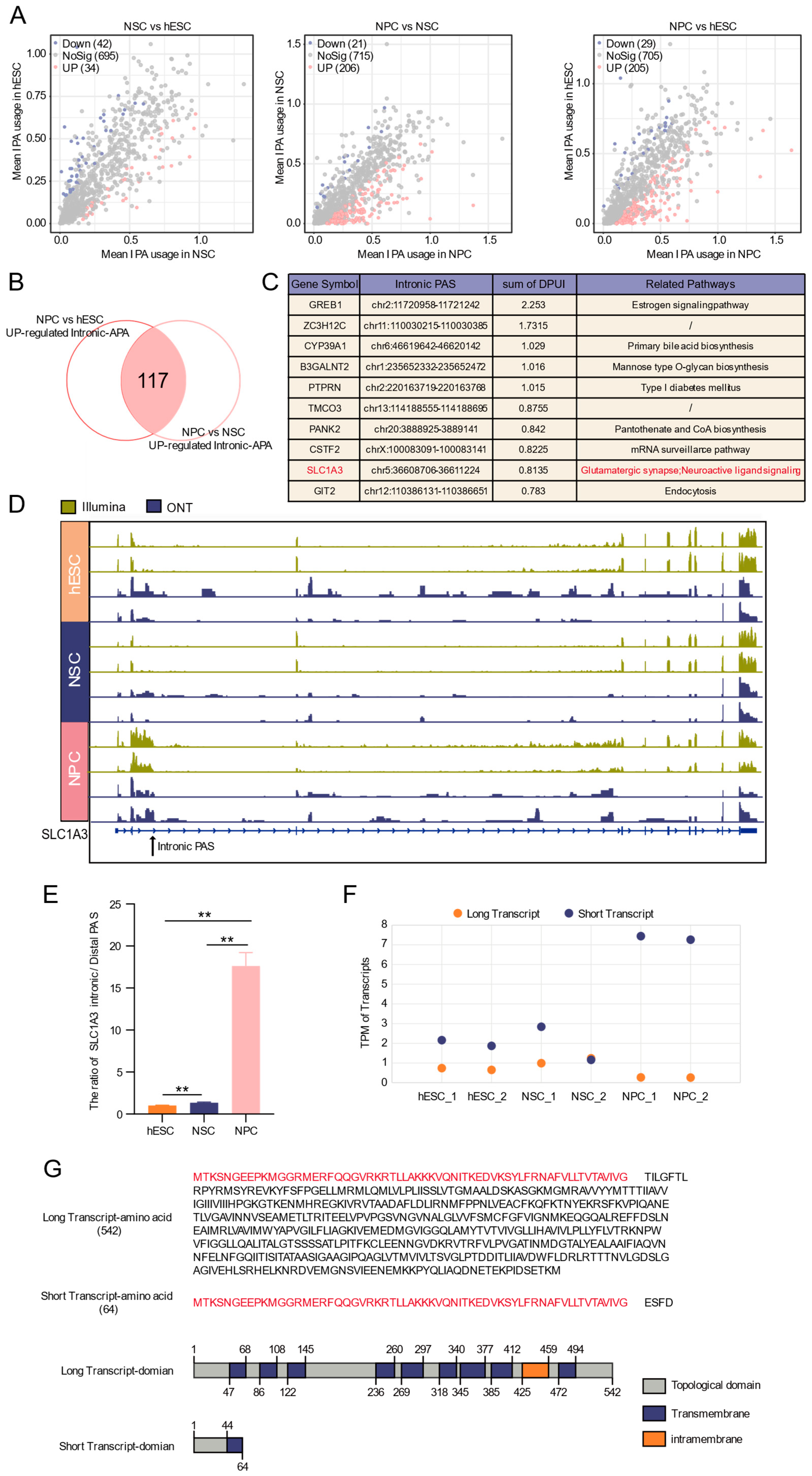 Biology 15 00024 g005 Biology 15 00024 g005