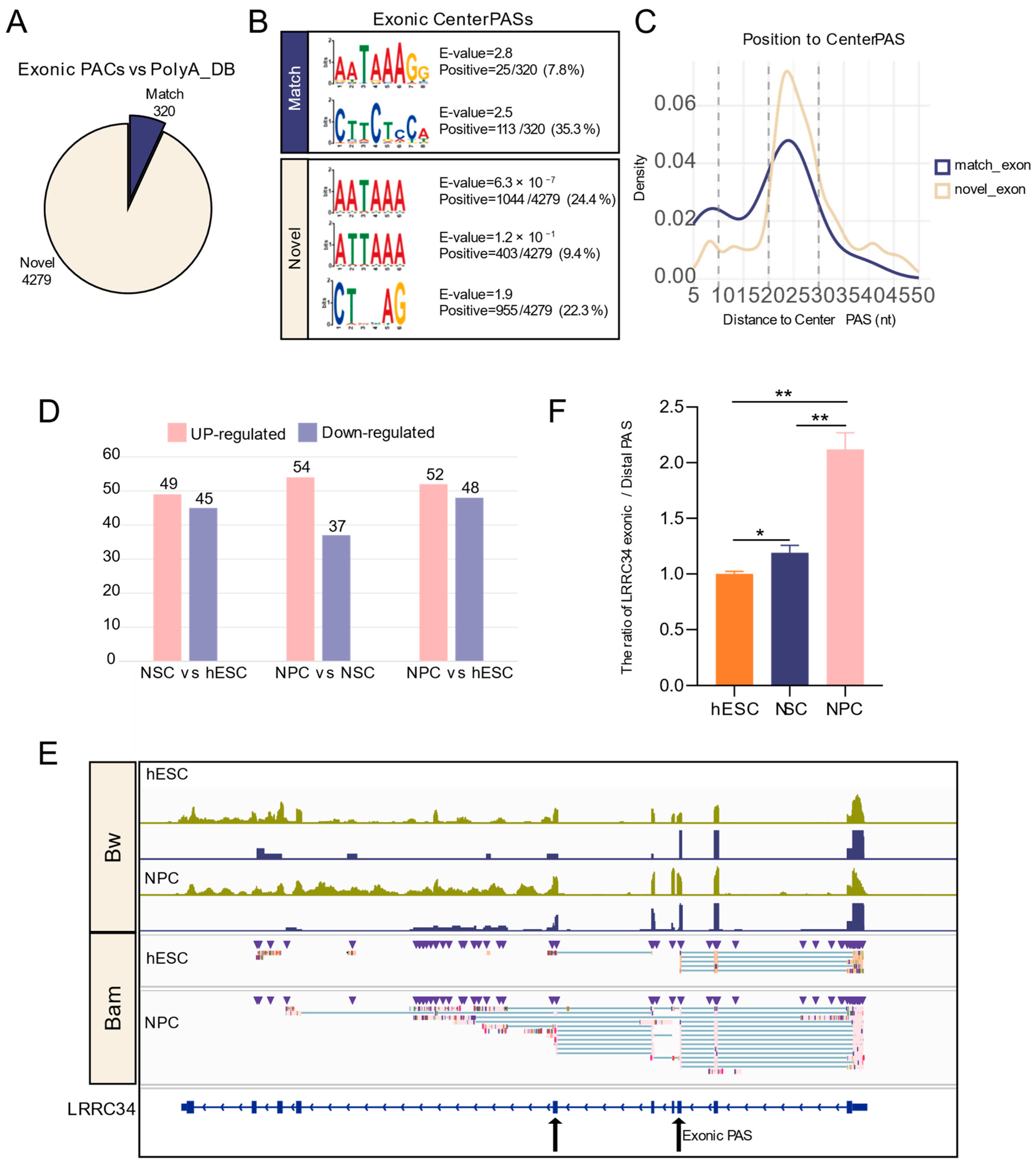 Biology 15 00024 g006 Biology 15 00024 g006
