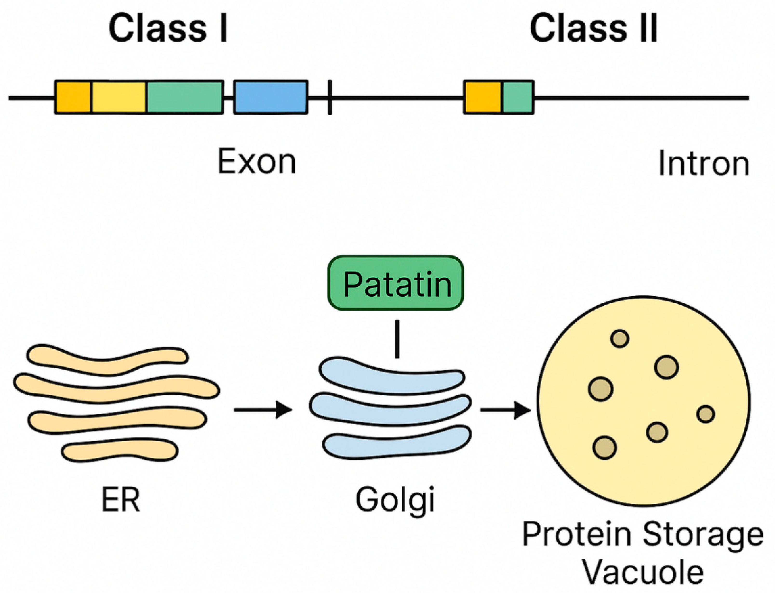 Biology 15 00029 g001