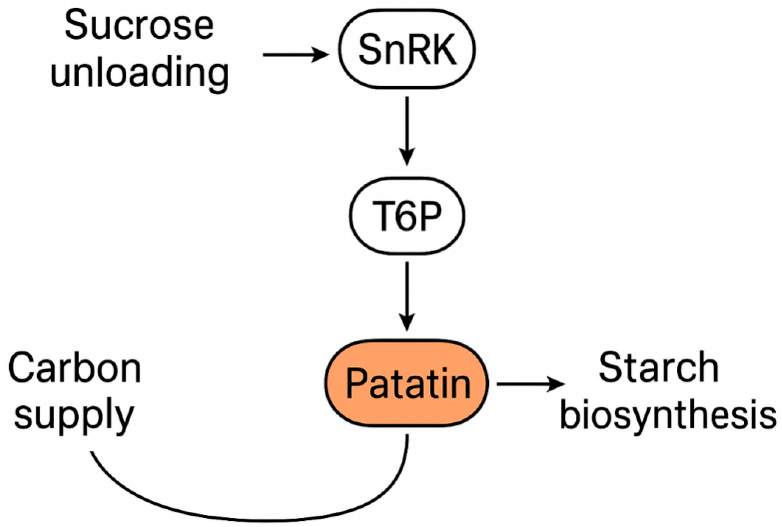 Biology 15 00029 g003