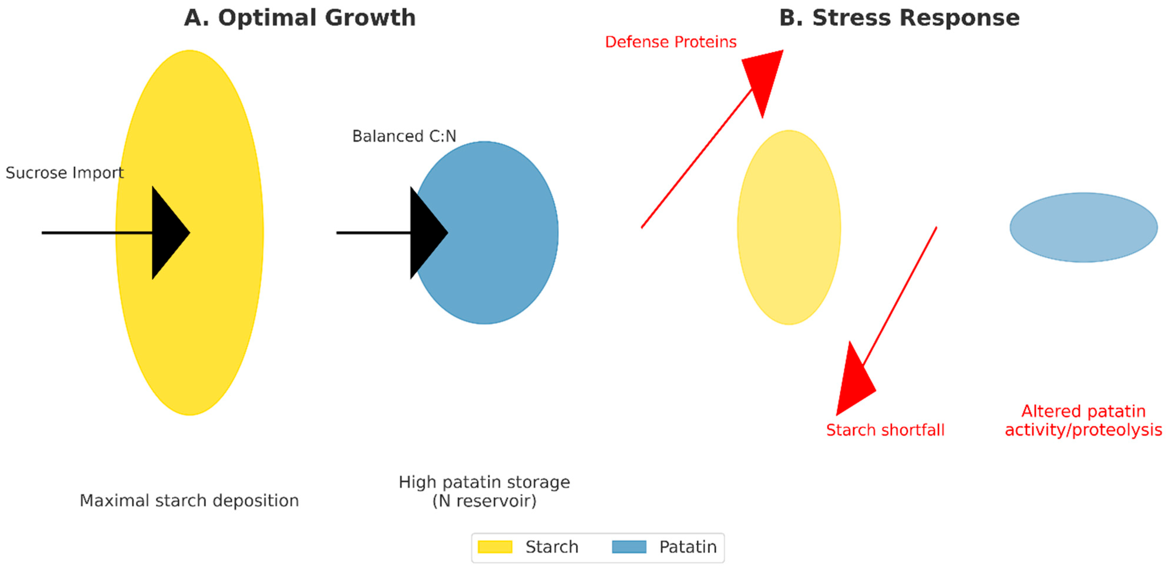 Biology 15 00029 g004