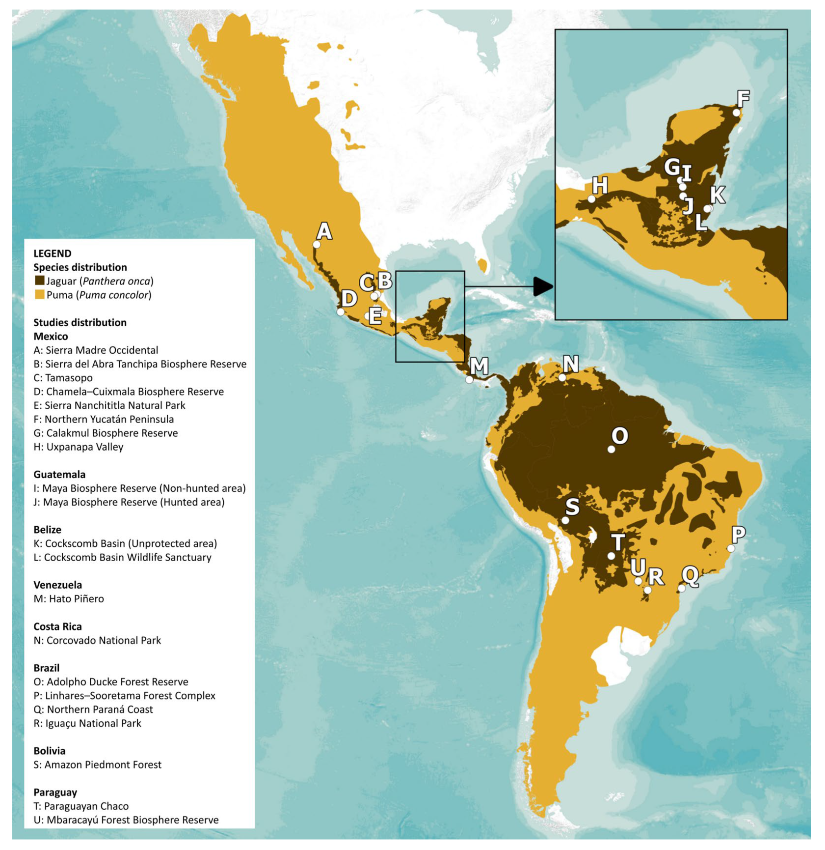 Biology 15 00031 g002