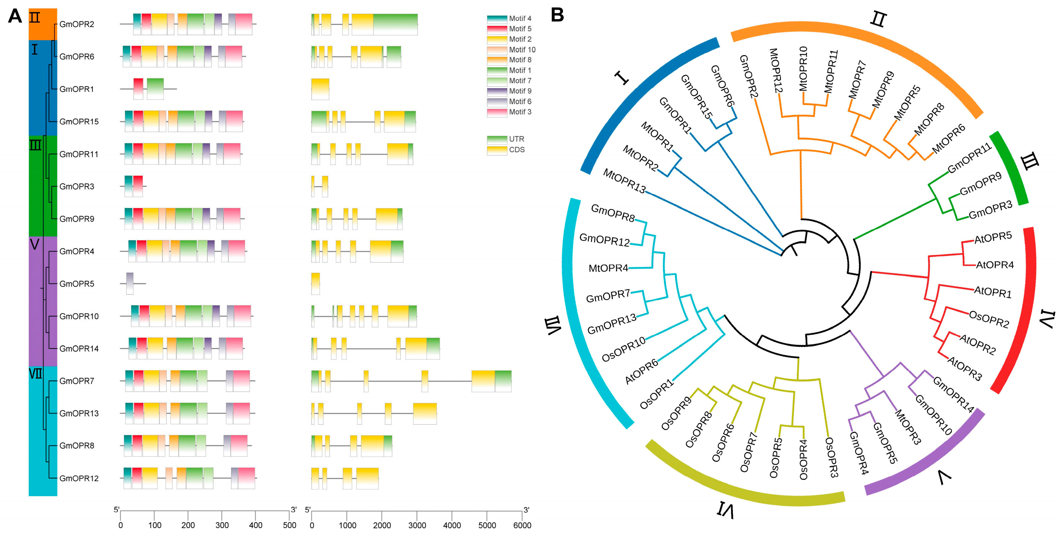 Biology 15 00032 g002