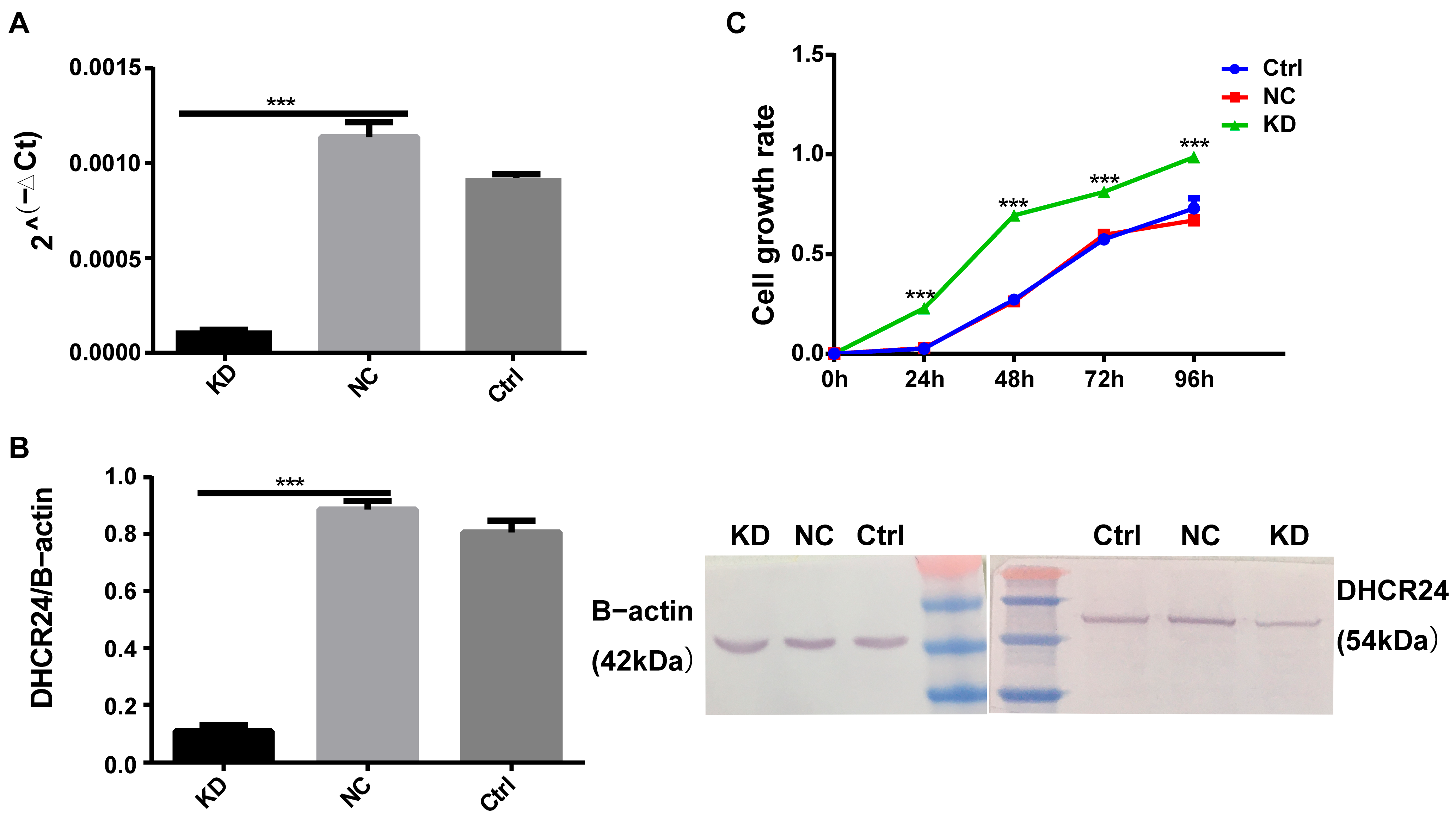 Biology 15 00040 g005