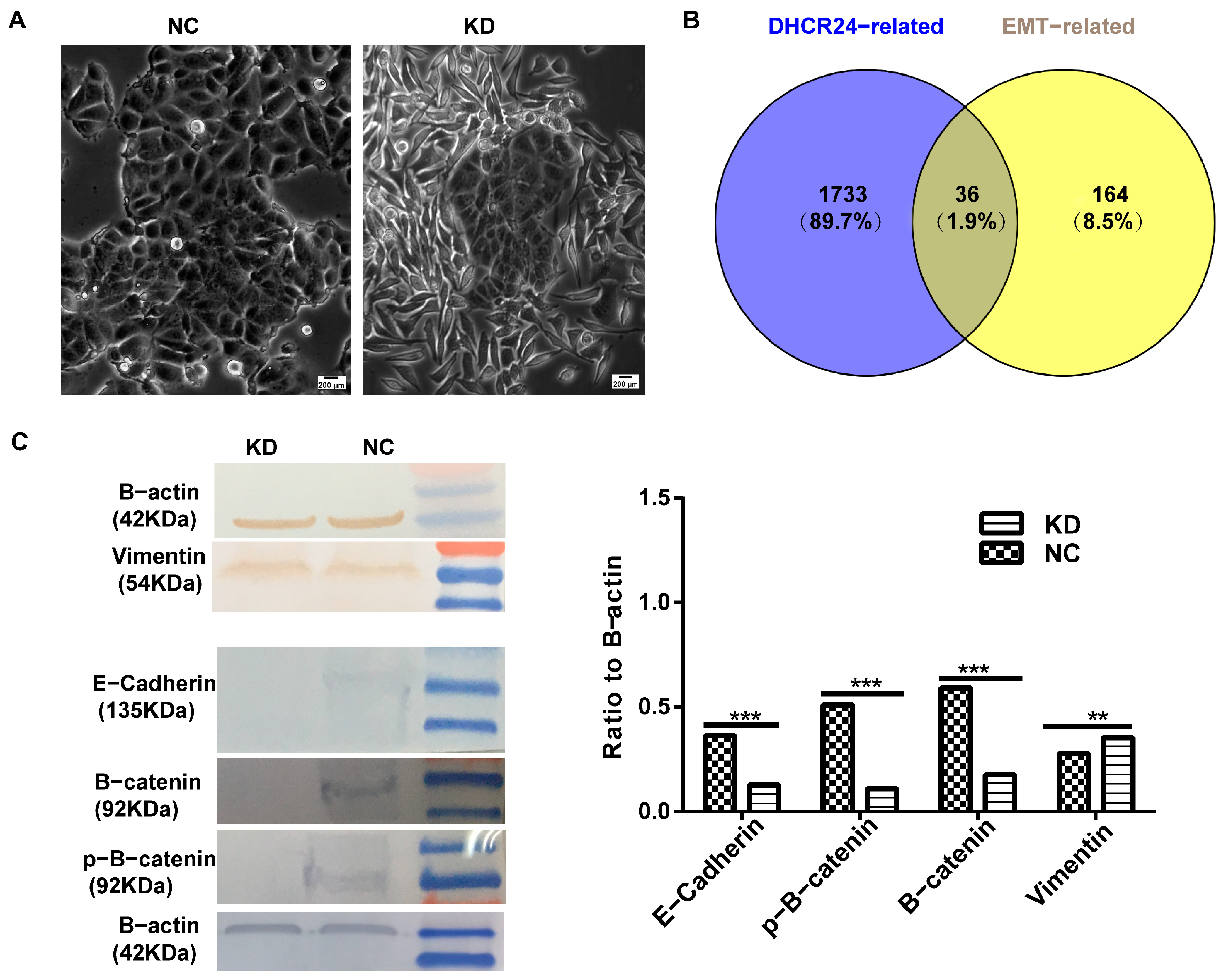 Biology 15 00040 g007