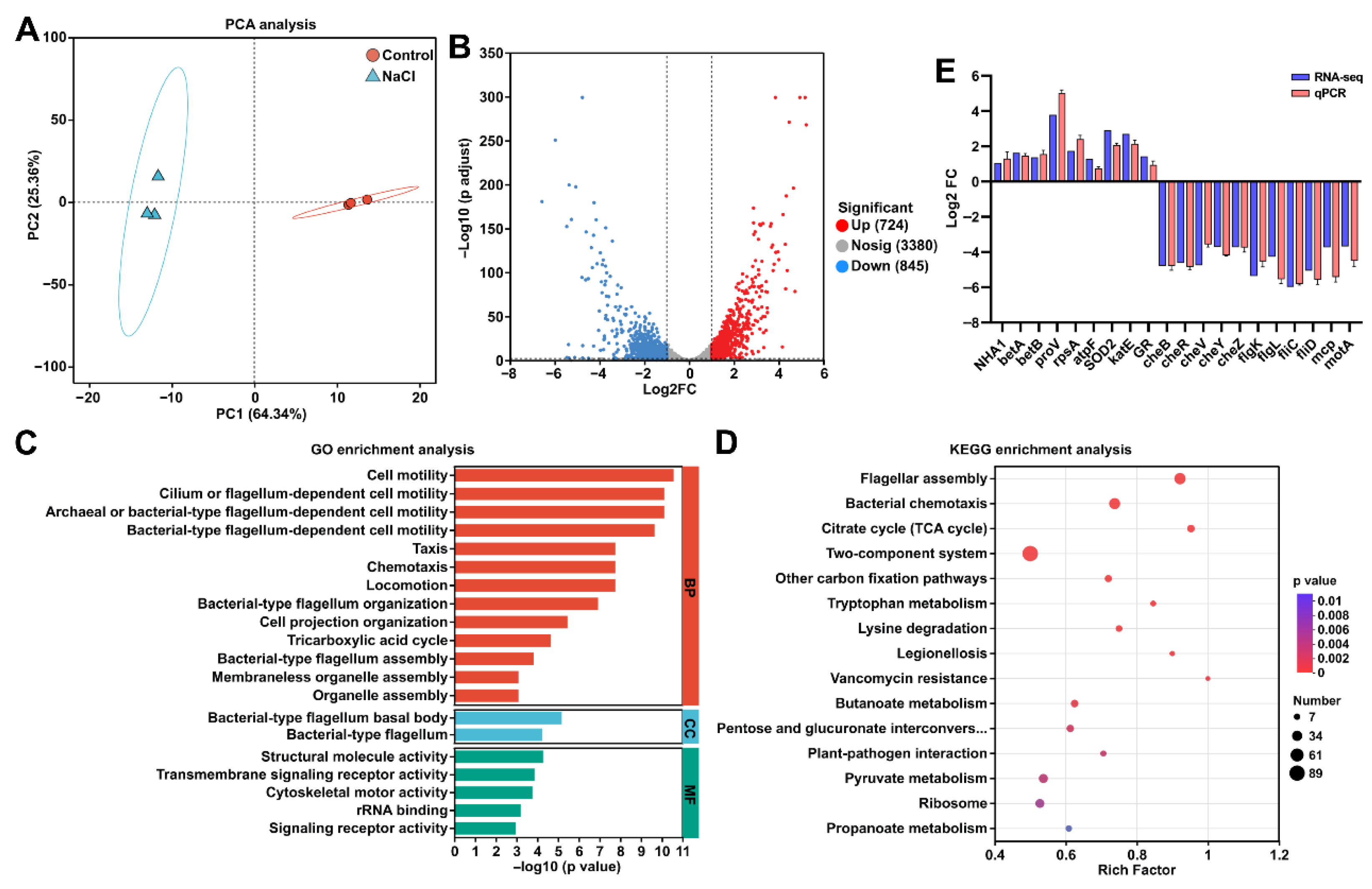 Biology 15 00045 g004