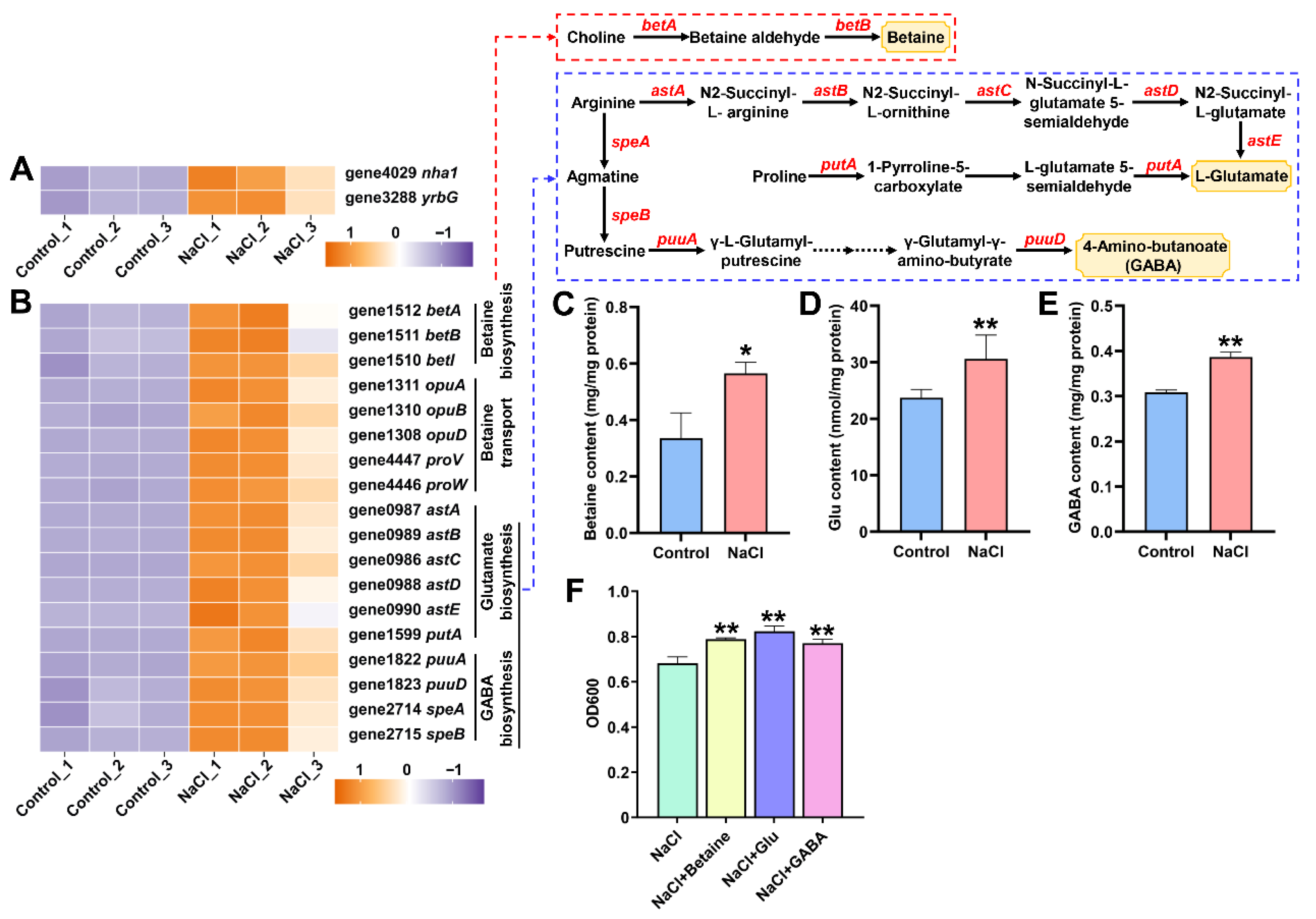 Biology 15 00045 g005