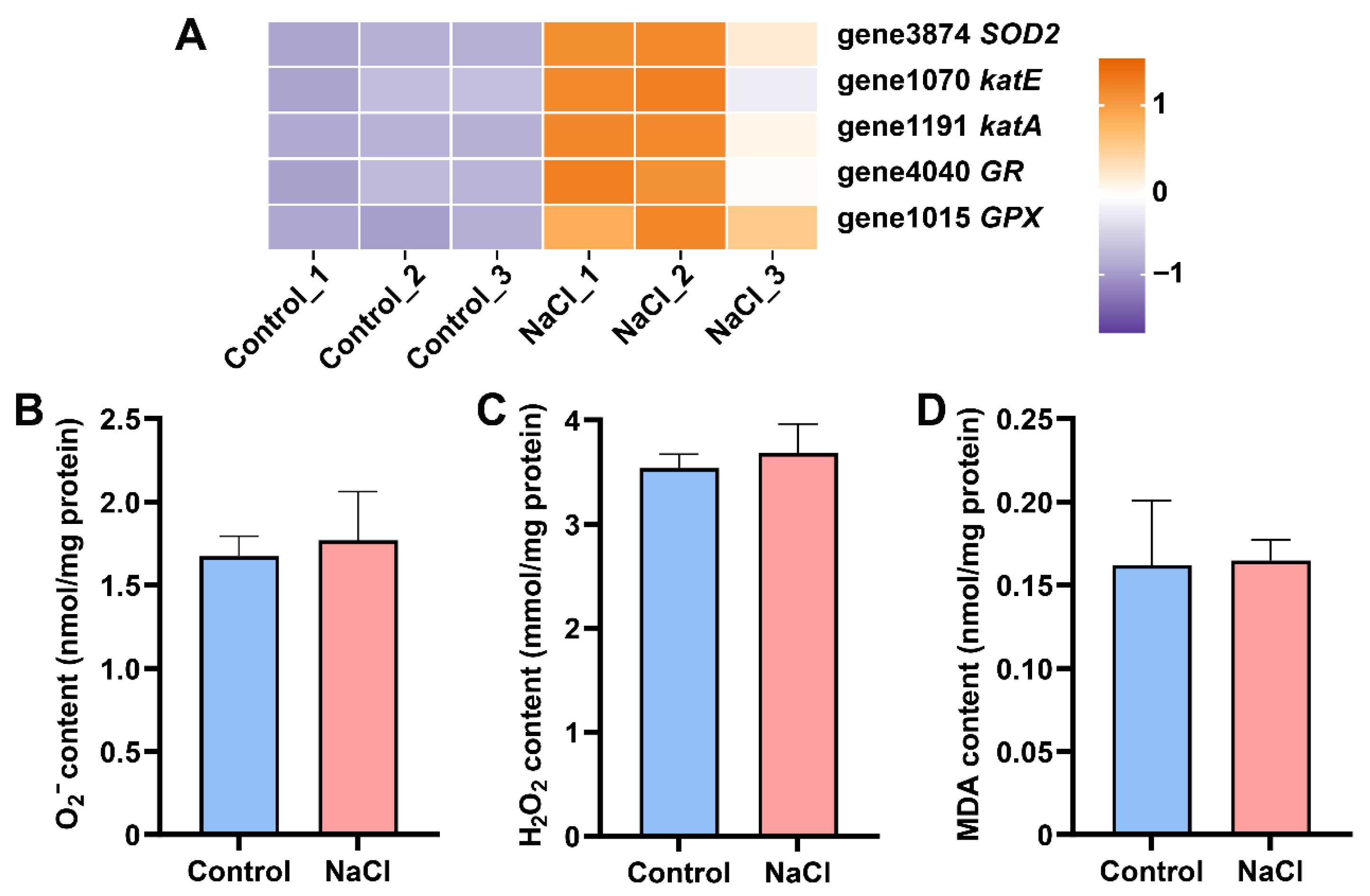Biology 15 00045 g006