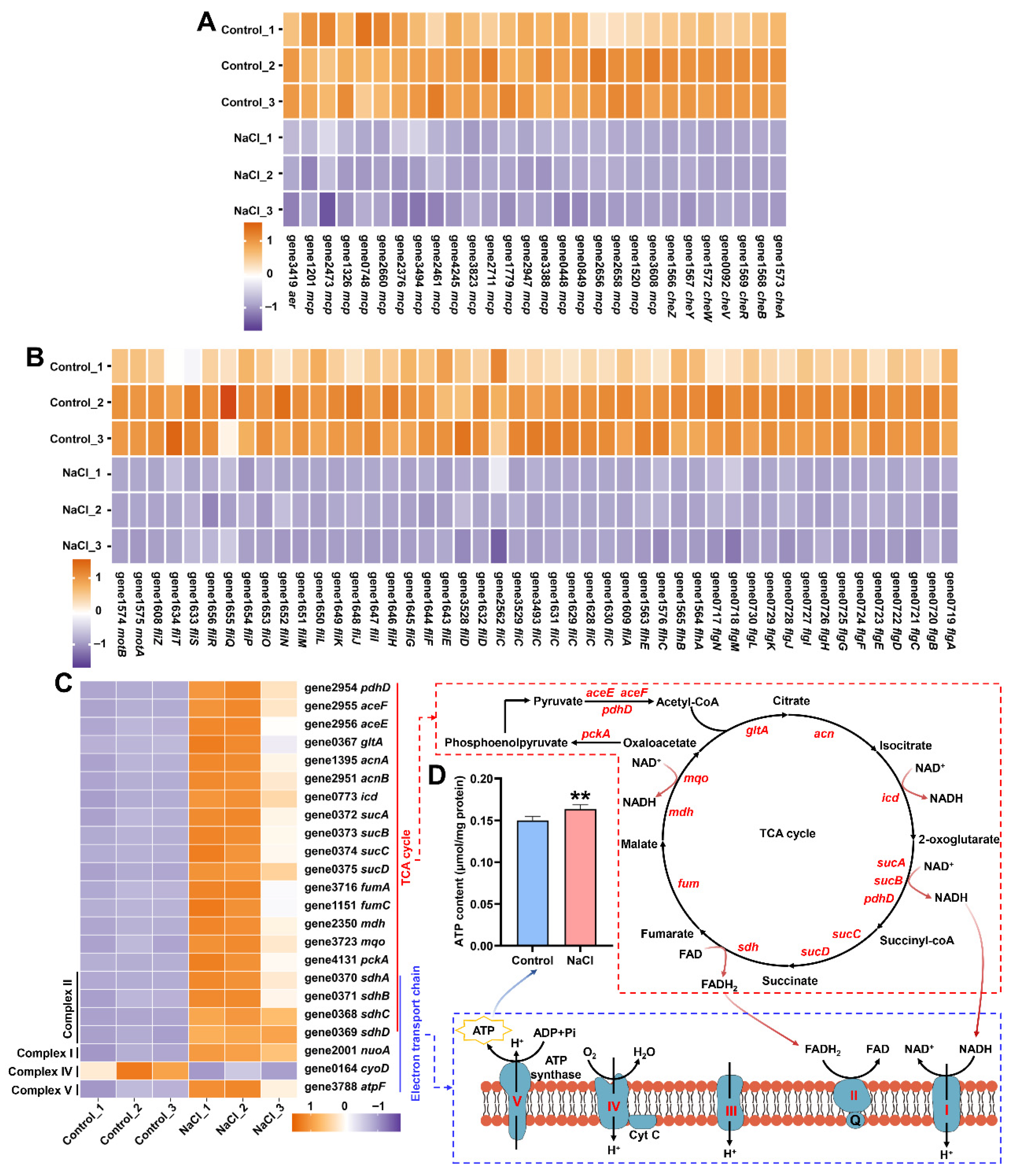 Biology 15 00045 g007